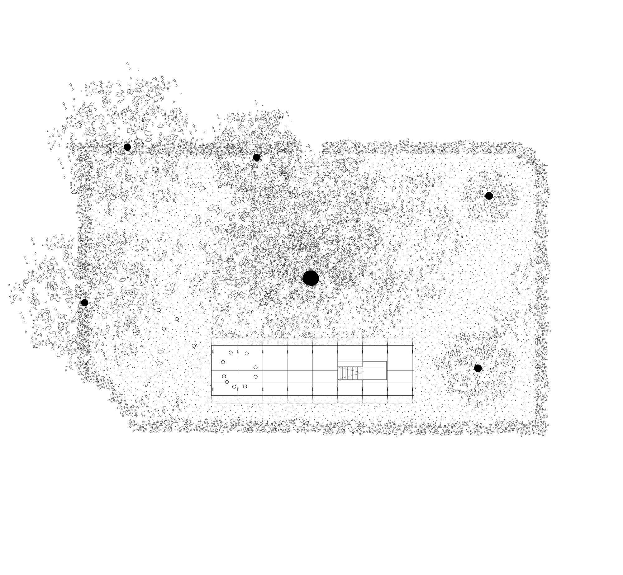 Site plan drawing showing rectangular pavilion surrounded by scattered tree canopies rendered as dots