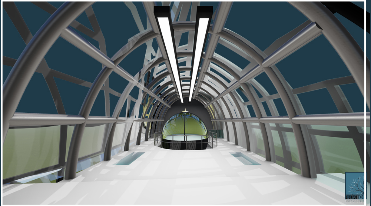 Interior of a ribbed arched corridor with exposed structural framework and glazed walls under artificial lighting
