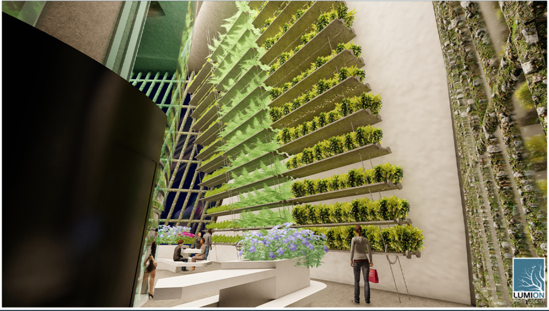 Tiered hydroponic growing shelves with planted rows beneath a diagonal lattice structure and a figure for scale