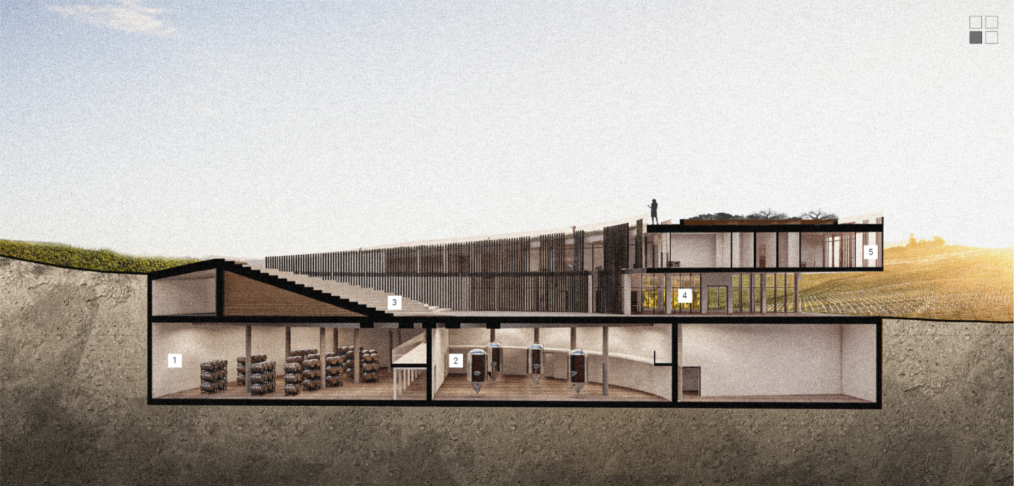 Sectional view revealing underground wine production, amphitheatre steps, dining spaces and roof terraces.