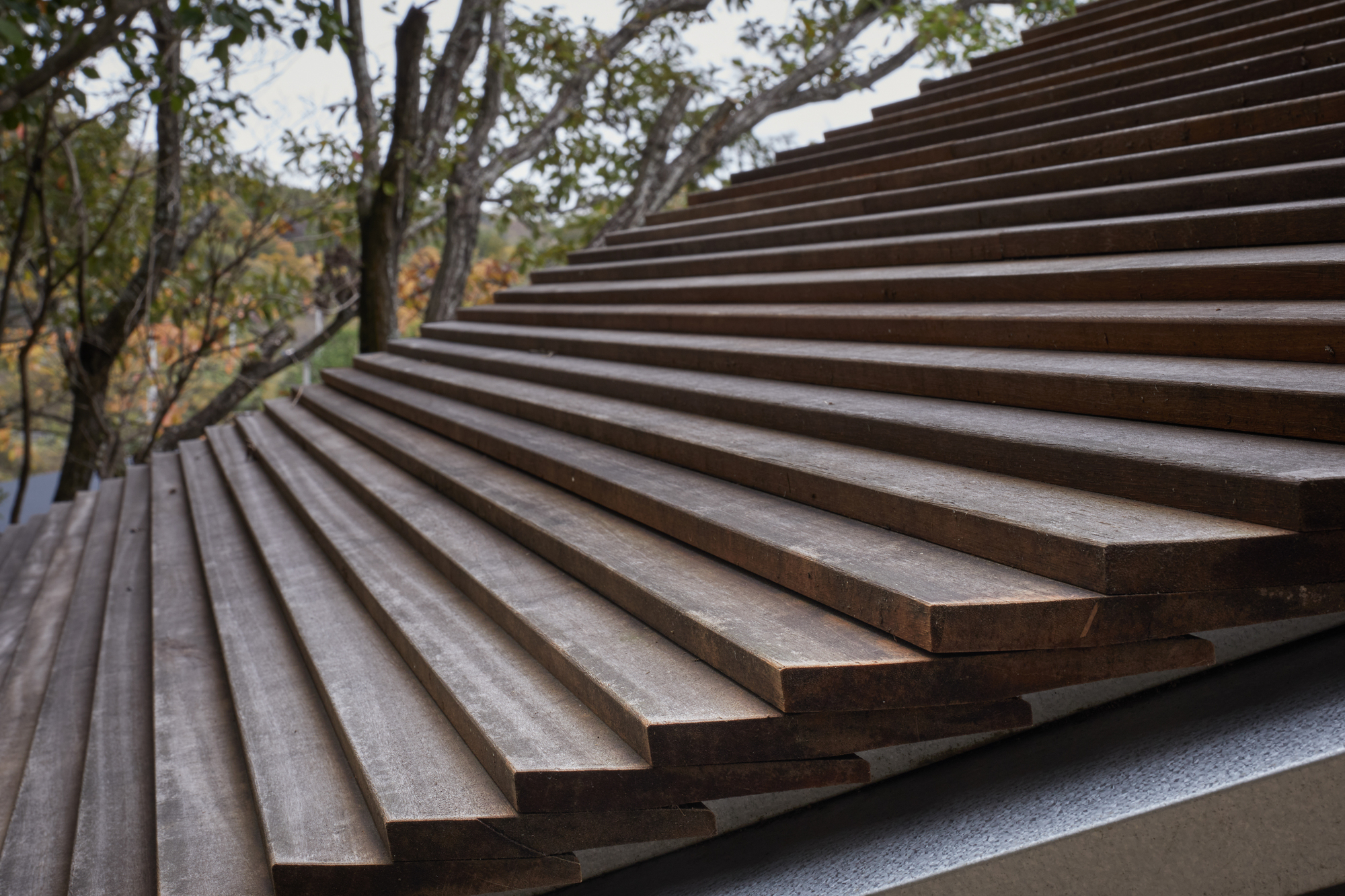 Close-up of horizontal timber slat facade with trees visible in the background
