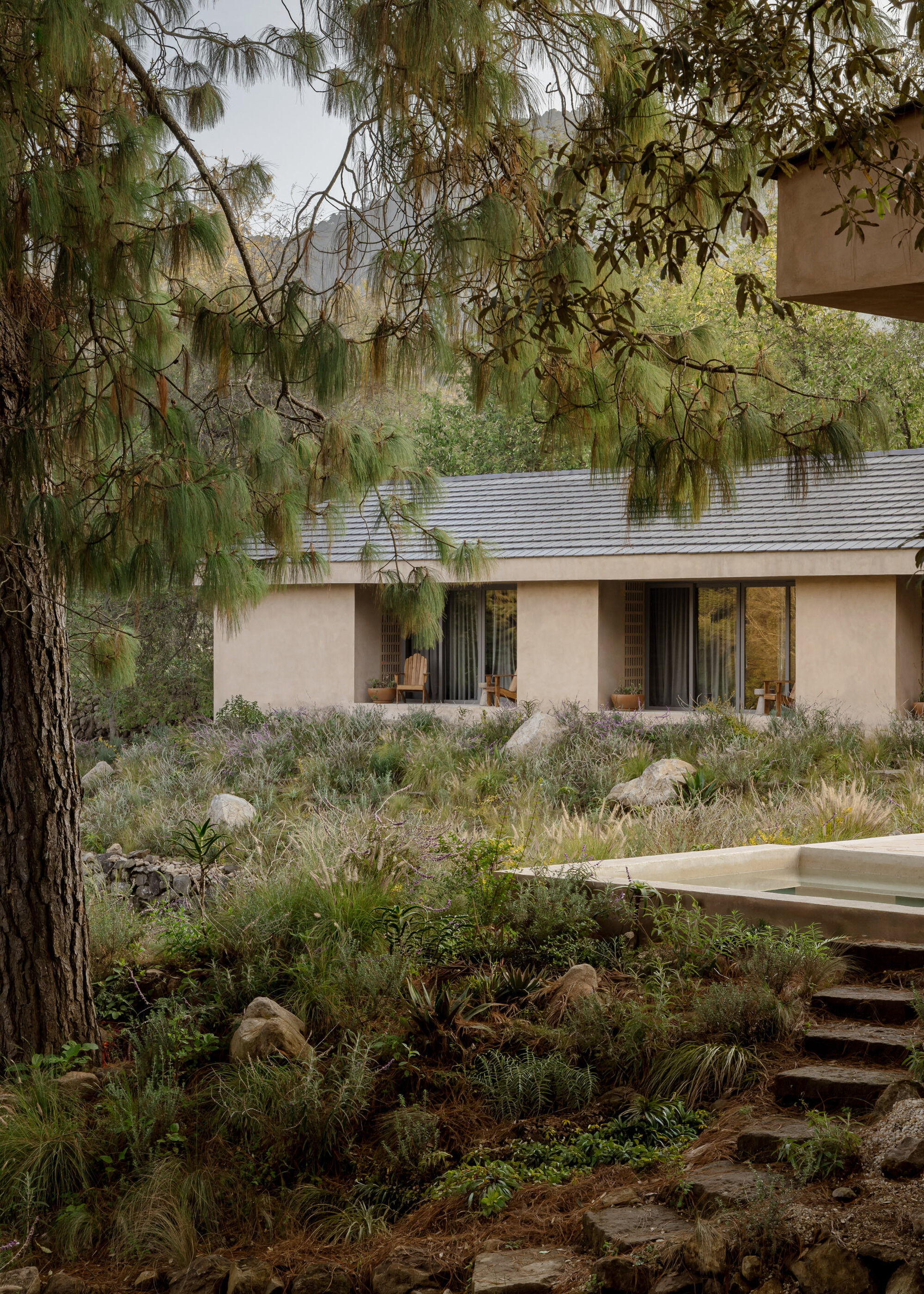Stone steps leading through planted hillside with pine tree framing the view to the facade