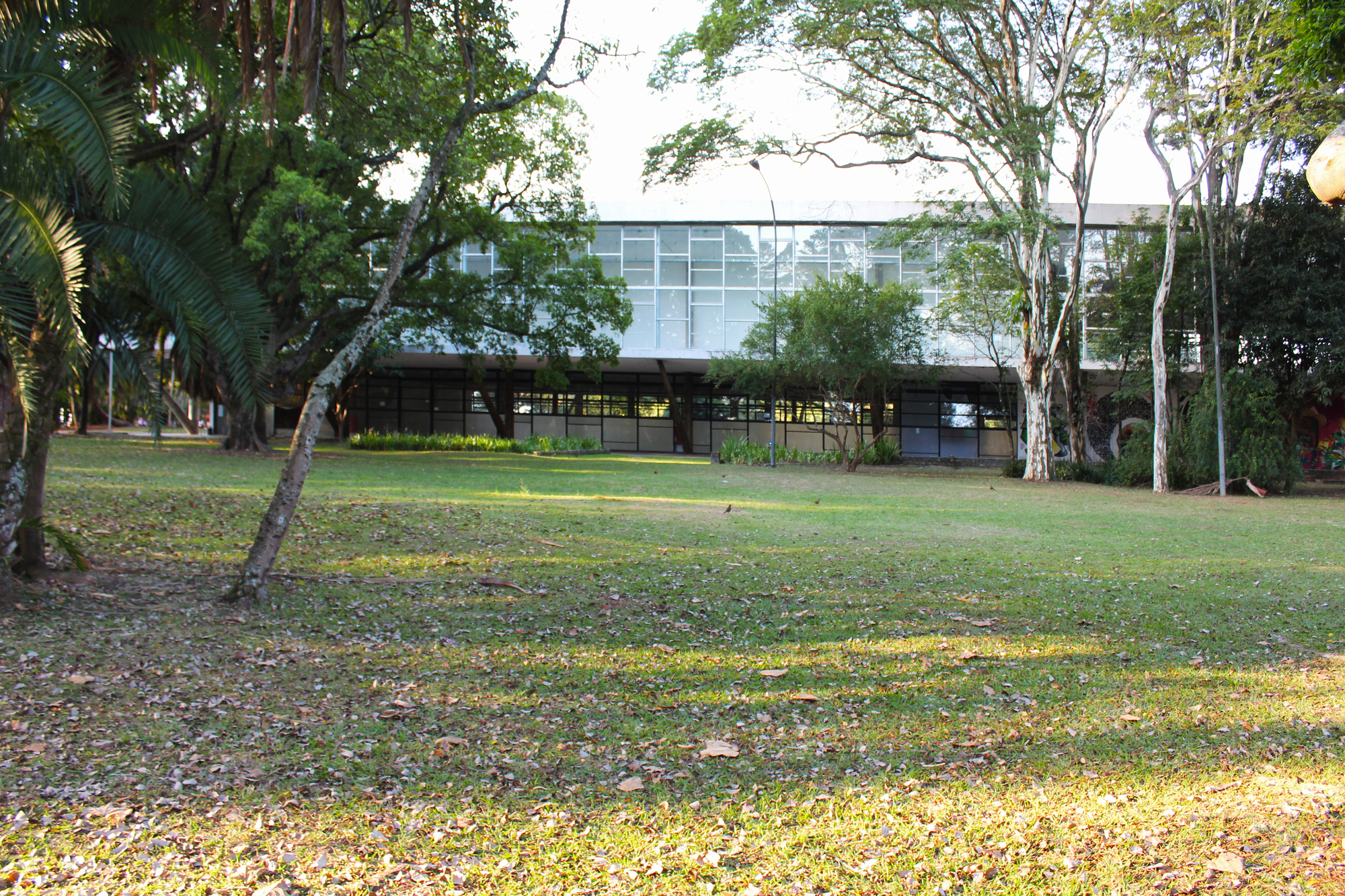 Elevated glass and steel pavilion on pilotis viewed across a lawn scattered with fallen yellow leaves