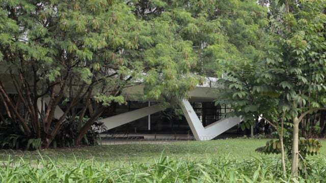 View of the angular concrete roof volume nestled among dense tropical trees and lawn