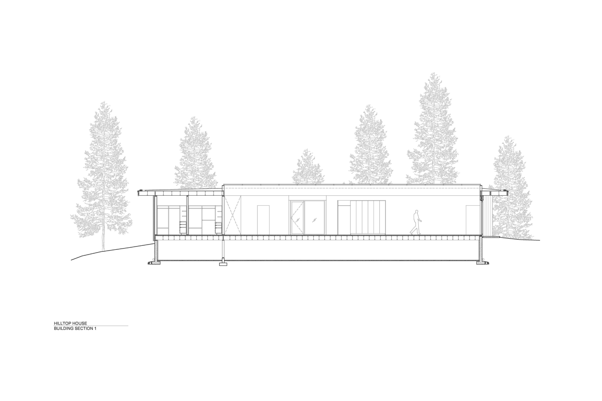Section drawing showing the flat-roofed residence elevated on columns among conifer trees