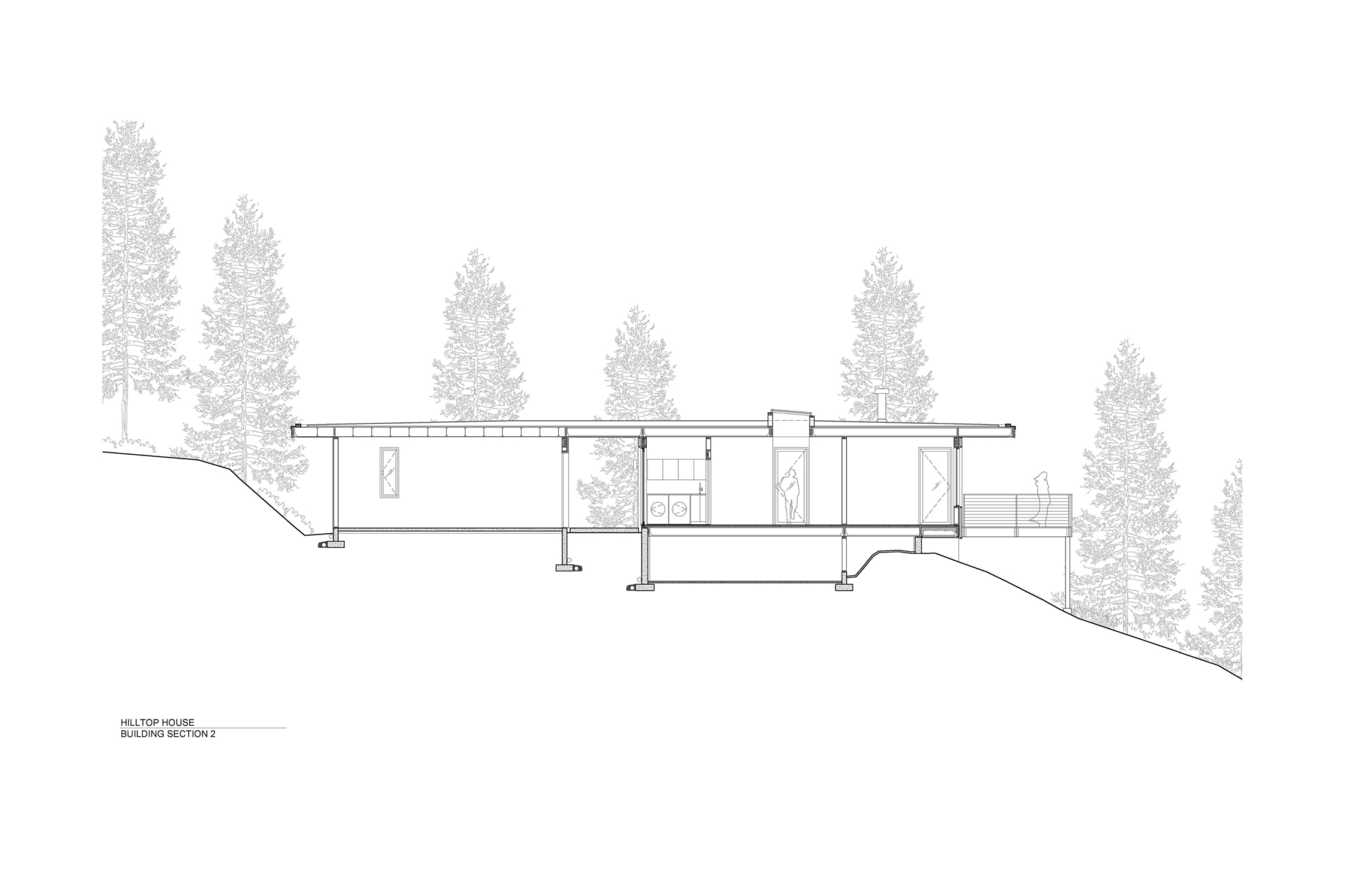 Section drawing revealing the split-level interior stepping down a sloped site with conifers