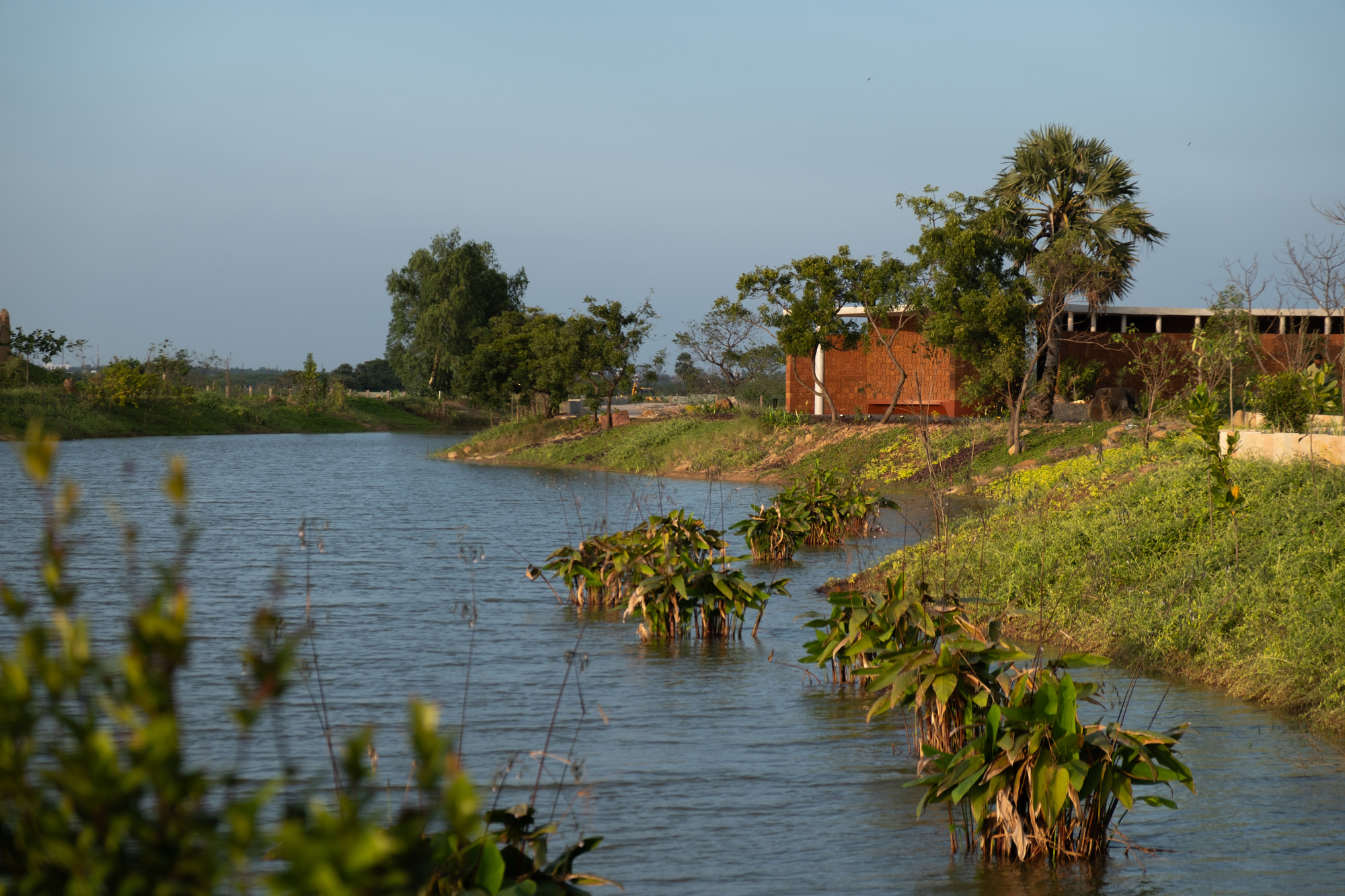 View across pond with planted edges and palm trees toward laterite brick building under late afternoon light