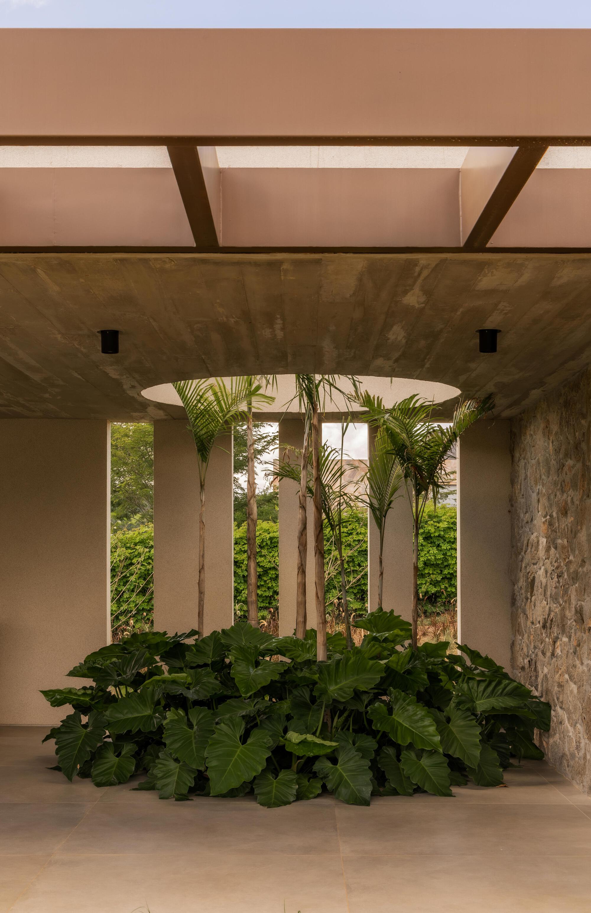 Interior courtyard with circular skylight above a bed of broad-leafed plants and palm trunks