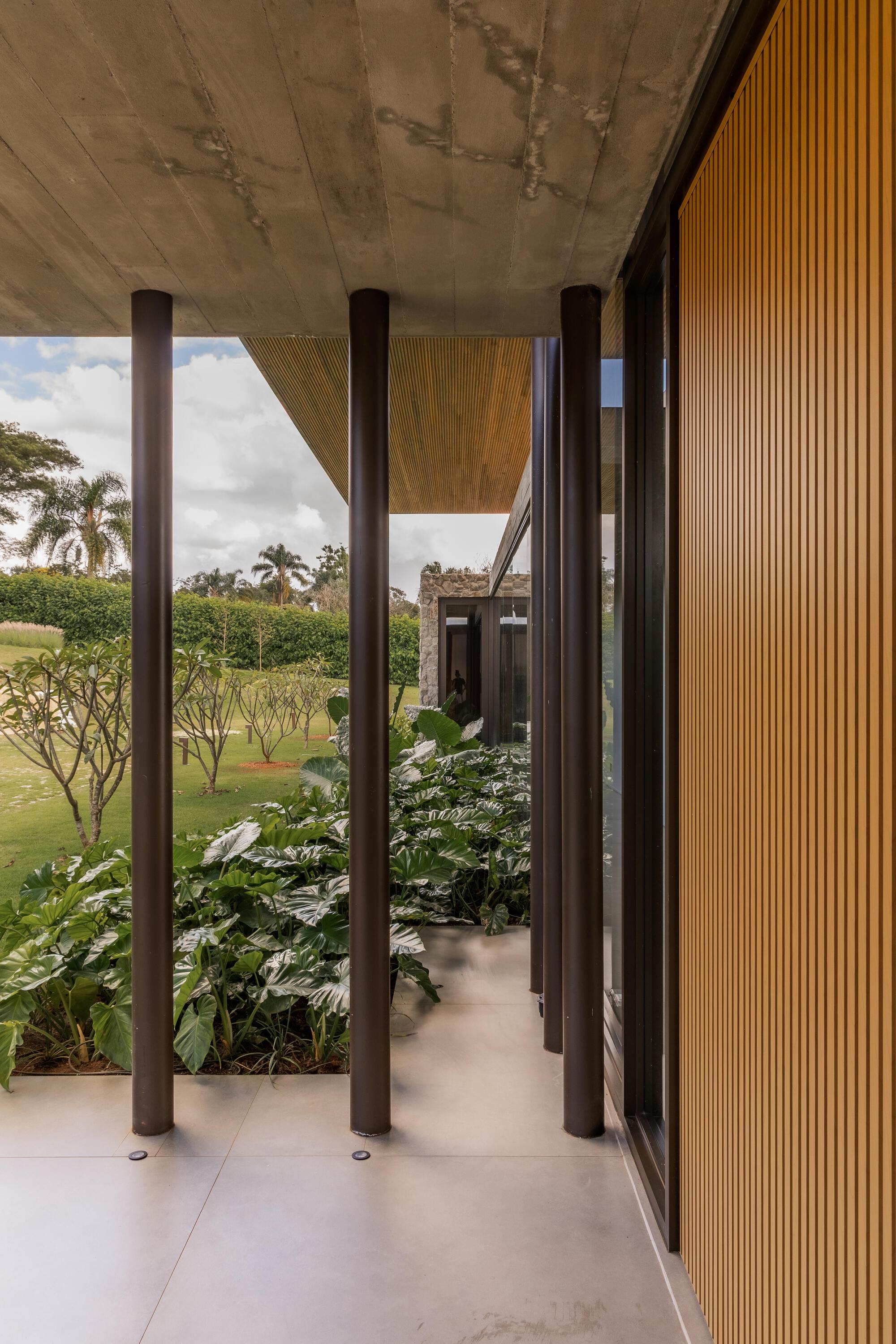 View through round steel columns past tropical foliage toward the lawn and concrete soffit above
