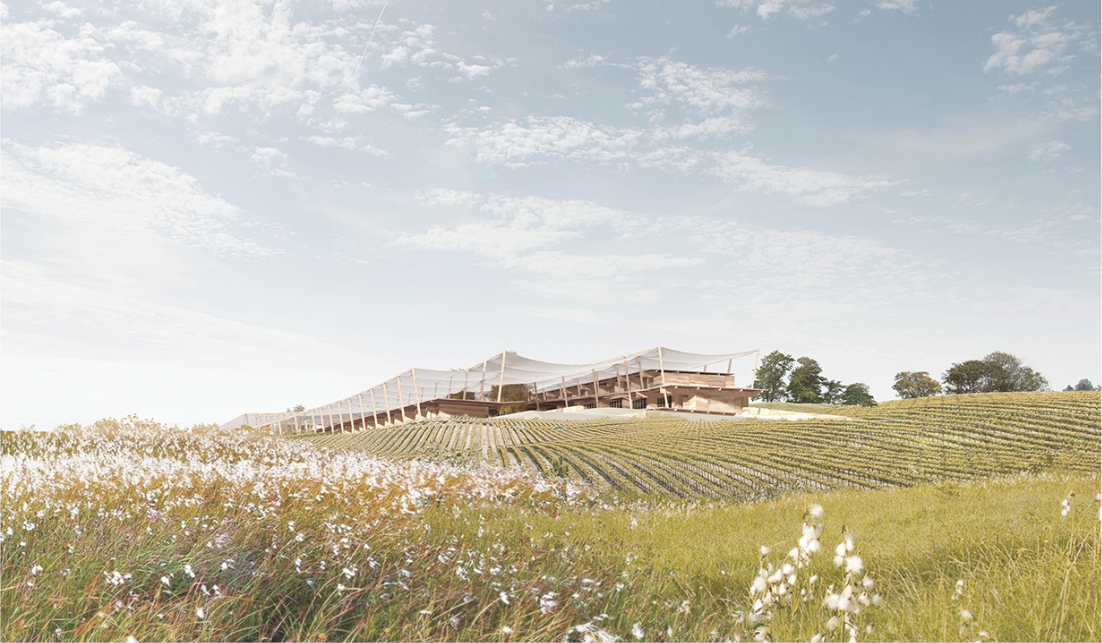 Overstory’s lightweight canopy rises gently above the vineyard, merging architecture with the cultivated landscape.