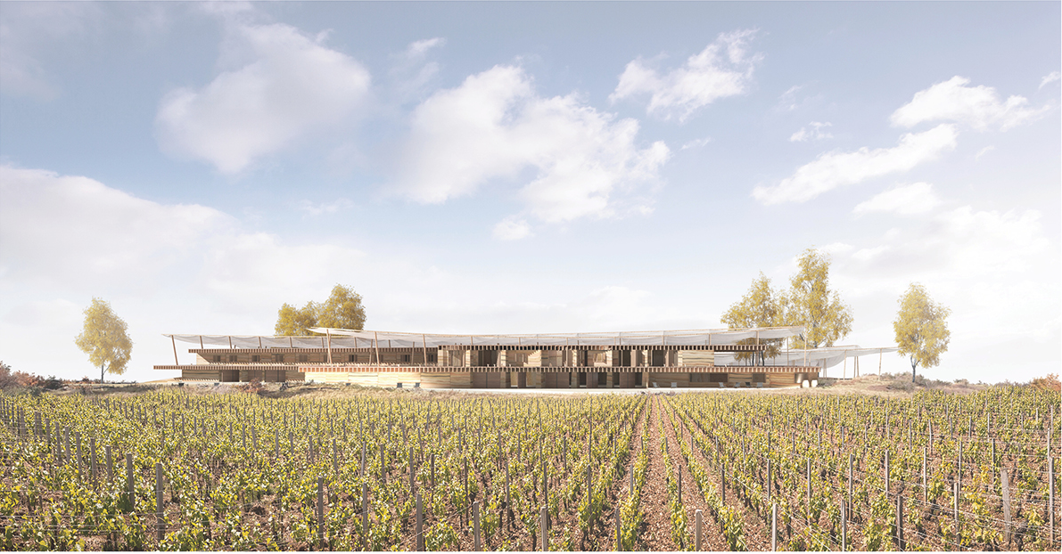 A linear vineyard elevation shows the winery extending horizontally beneath its continuous climate-responsive canopy.