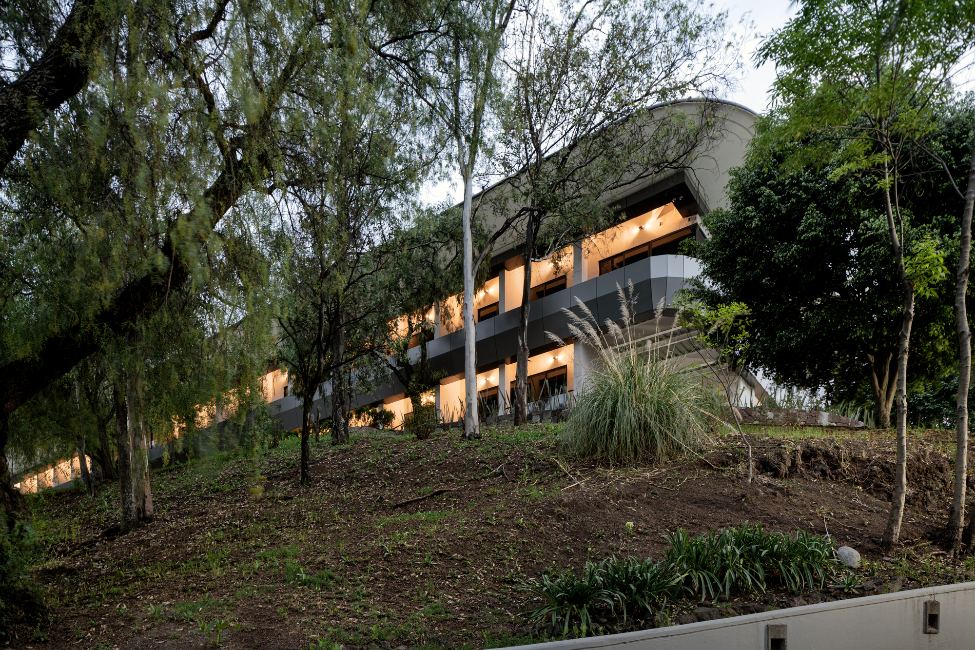 Rear facade at dusk with glowing interior spaces set into the planted hillside slope