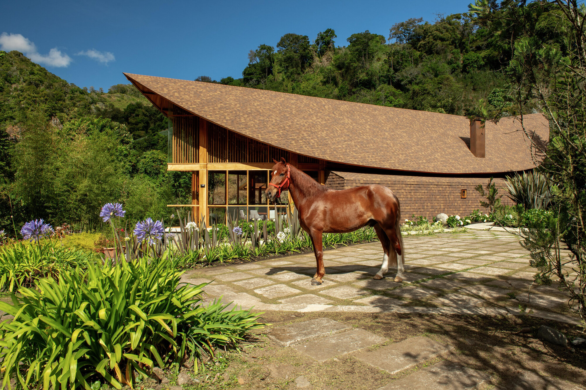 The sweeping shingled roof and timber-screened facade with a horse on the stone paved terrace below