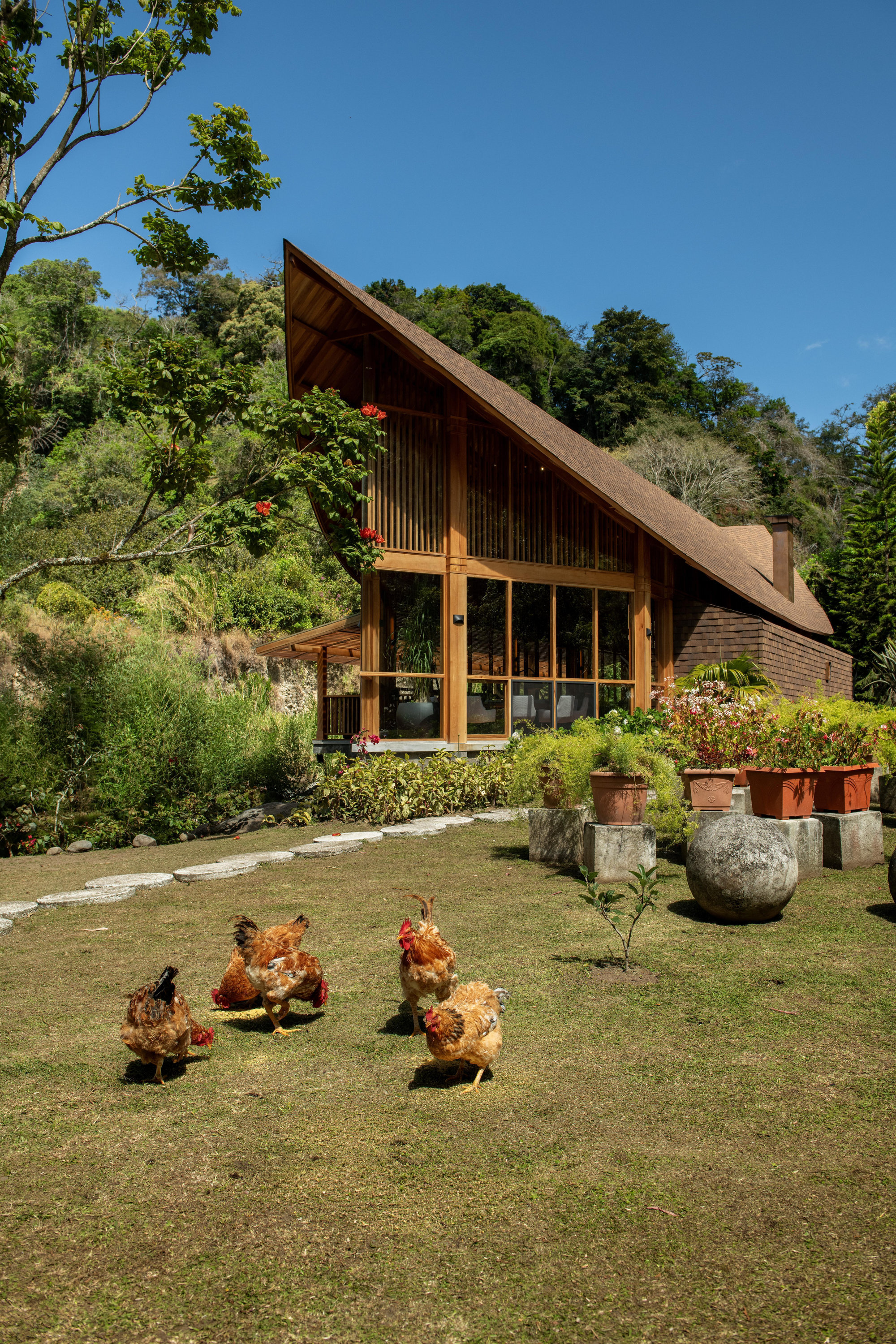 Timber facade with vertical slat screens and glazed openings as chickens roam the front lawn