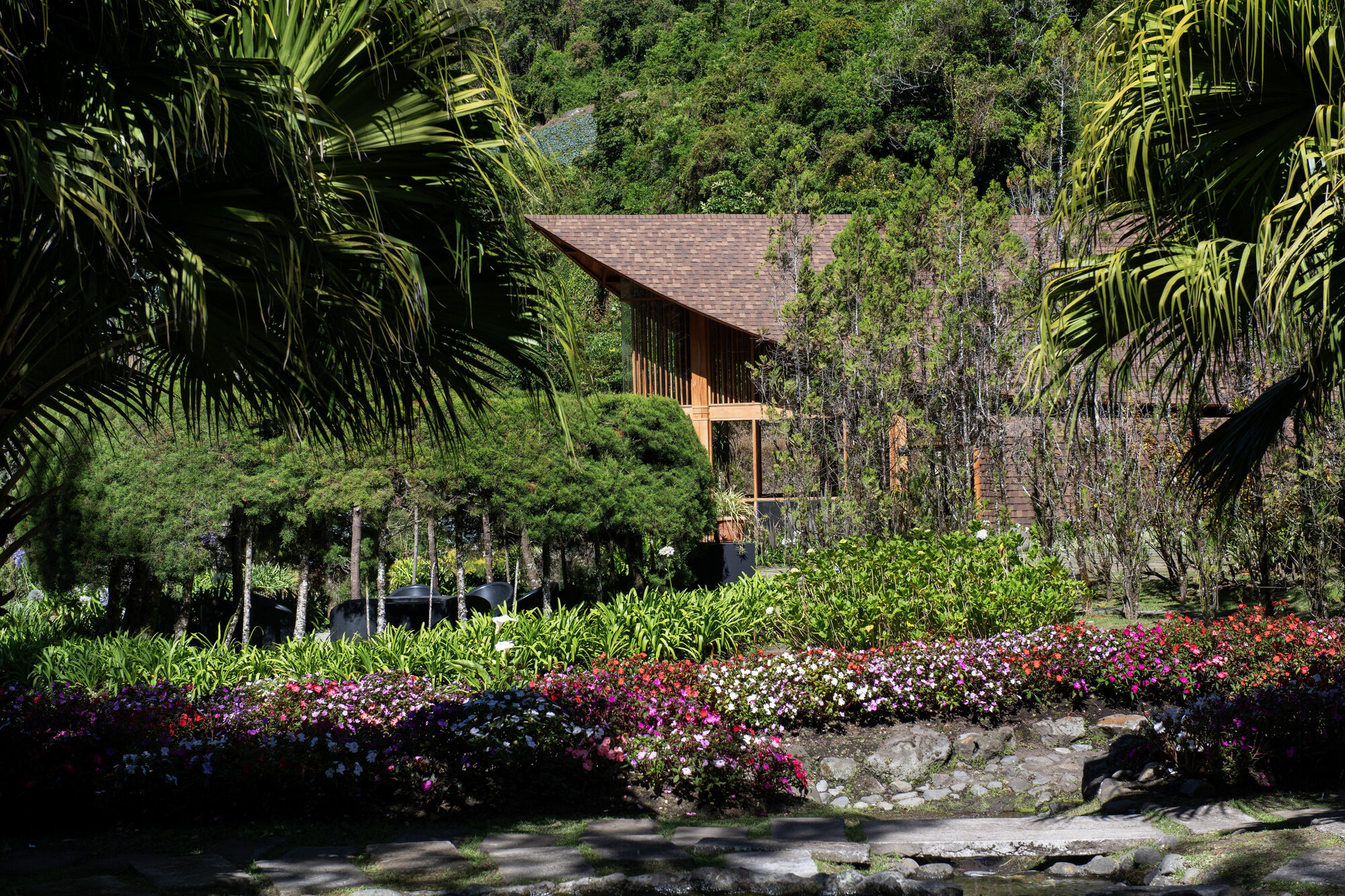 View through flowering garden beds toward the timber building with curved roof and vertical cladding