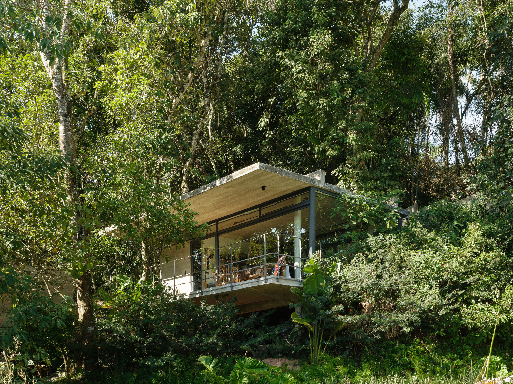 Elevated glass-walled pavilion with timber ceiling and deck nestled among eucalyptus trees and tropical plantings