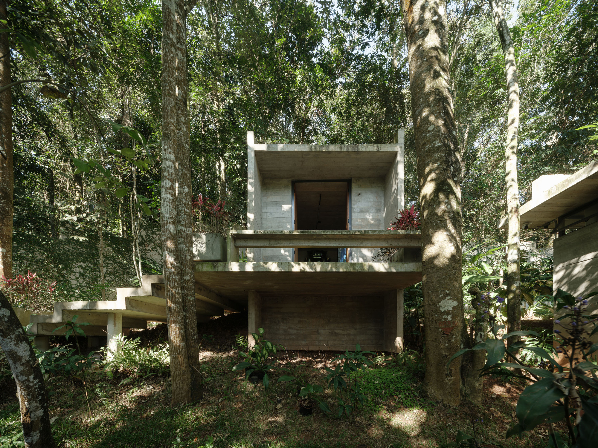 Board-formed concrete facade with cantilevered volumes and external stair rising through dappled forest light