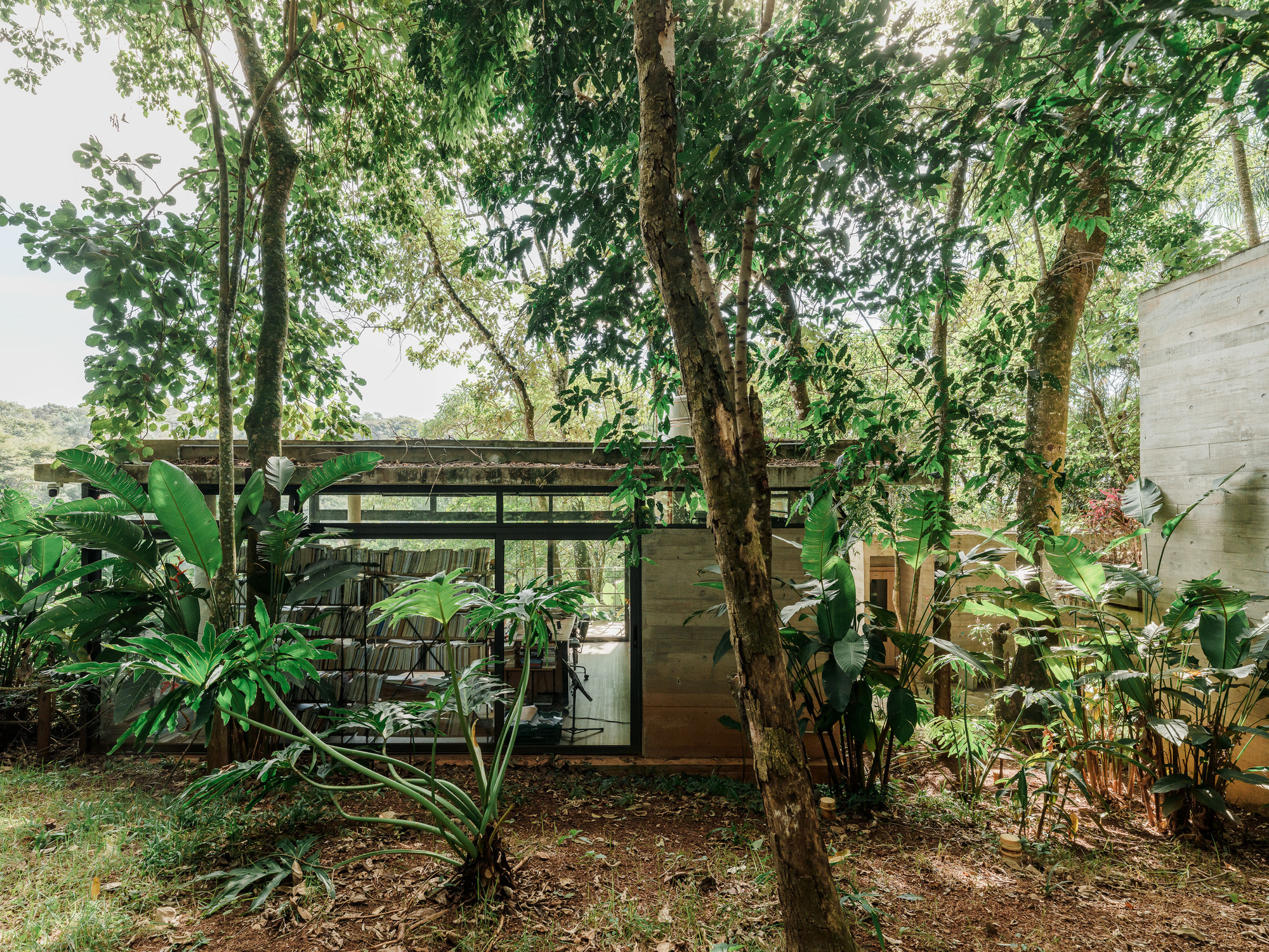 Glass-enclosed lower volume with exposed steel framing surrounded by banana plants and tree trunks