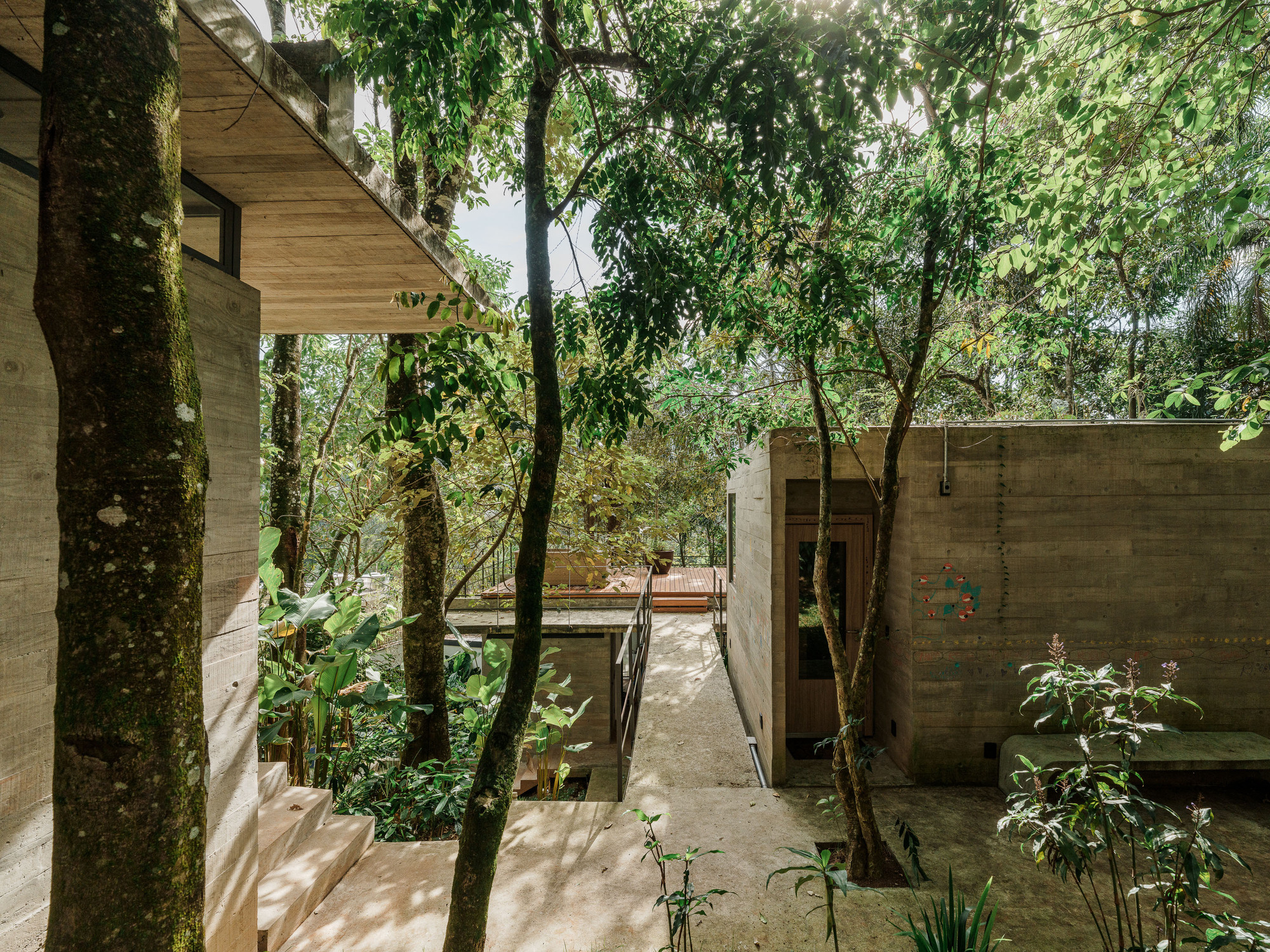Concrete walkway linking volumes through the forest with moss-covered tree trunks and filtered sunlight