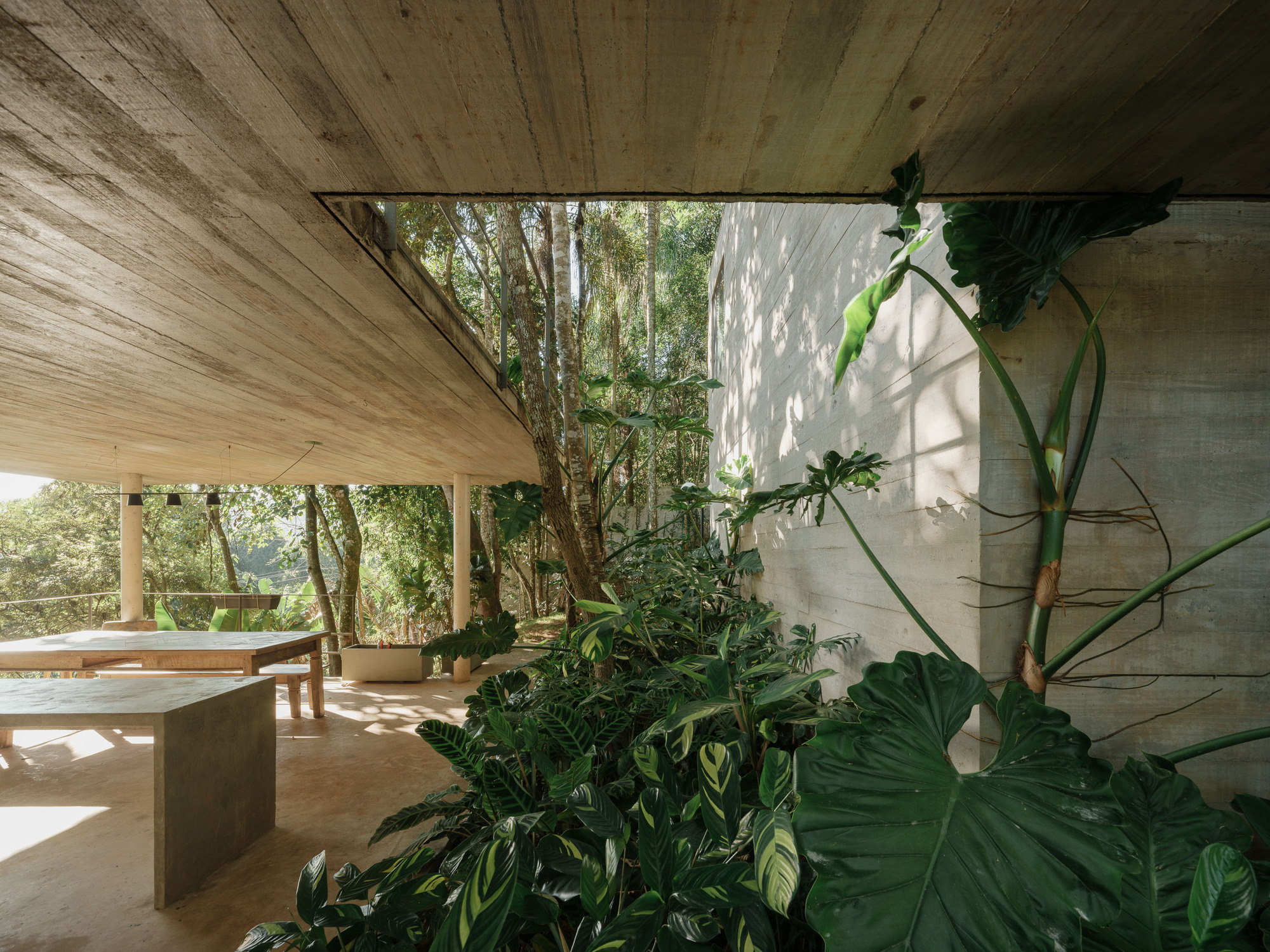 Open-air living space with wooden ceiling, concrete benches and lush tropical plantings filtering morning light