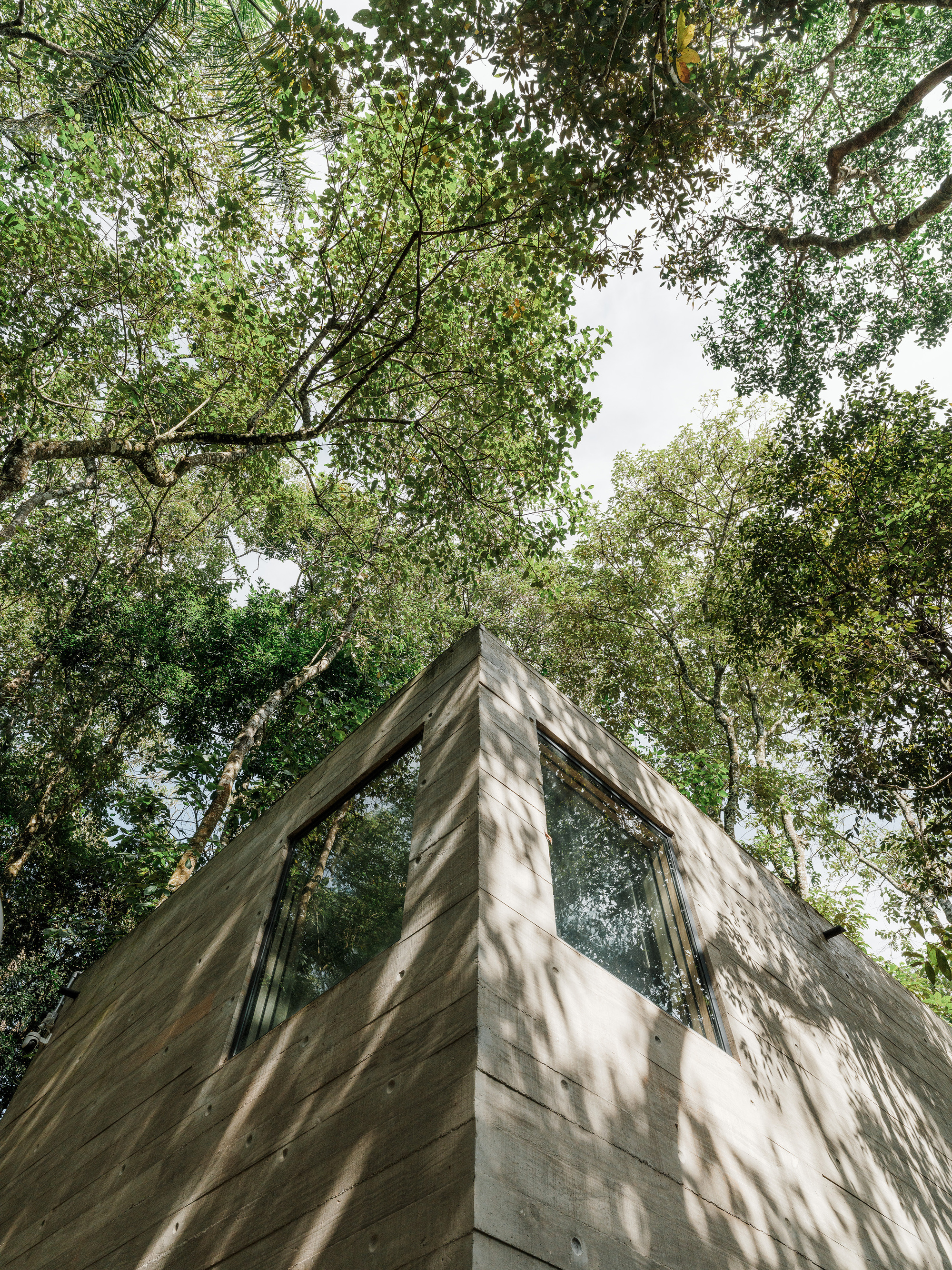 Corner of board-formed concrete tower rising through tree canopy with dappled sunlight on the facade