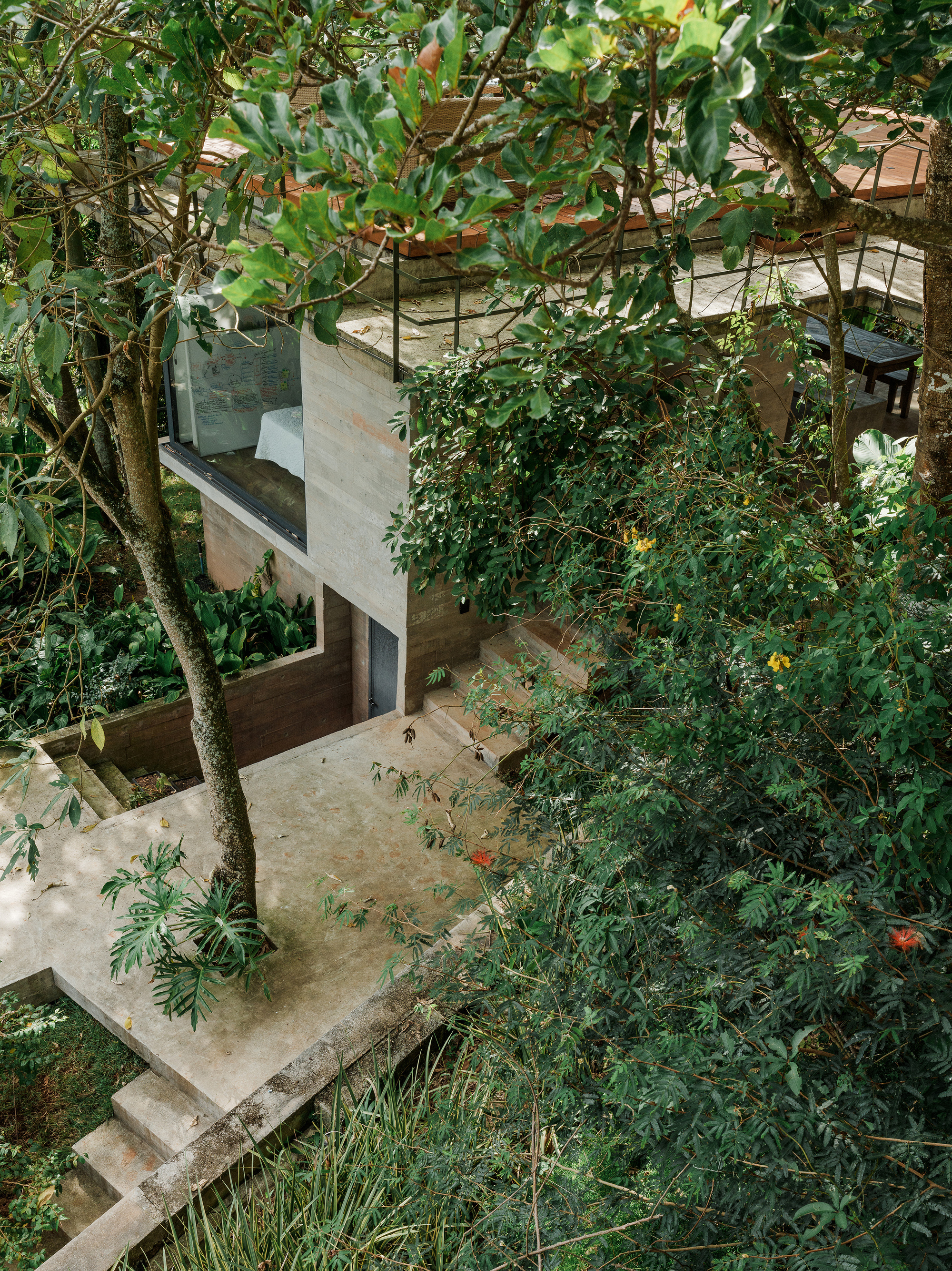 Aerial view of concrete terraces with planted trees nestled into the hillside among tropical vegetation