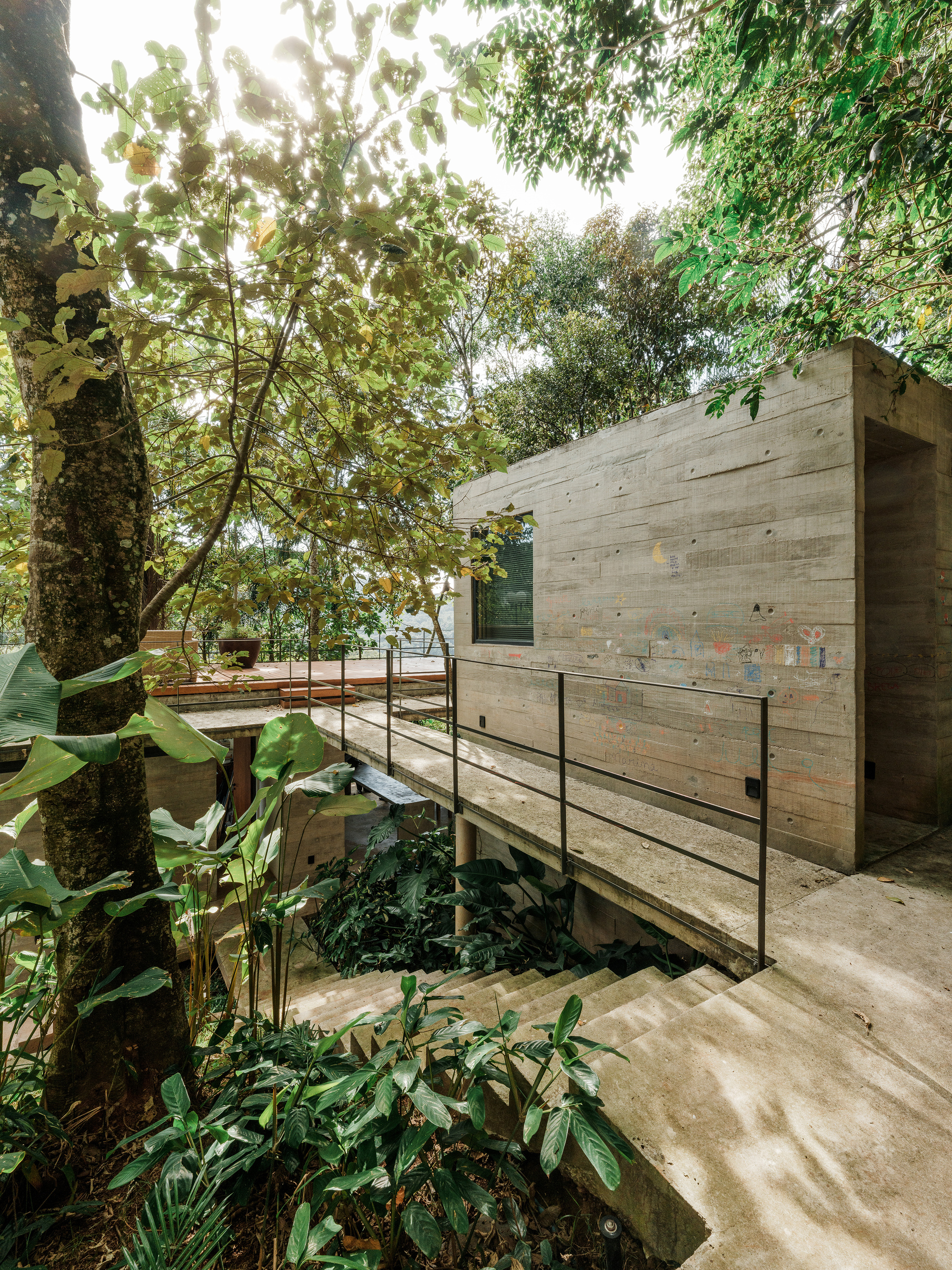 Concrete walkway with steel railing connecting levels through the forest with banana plants and overhead foliage