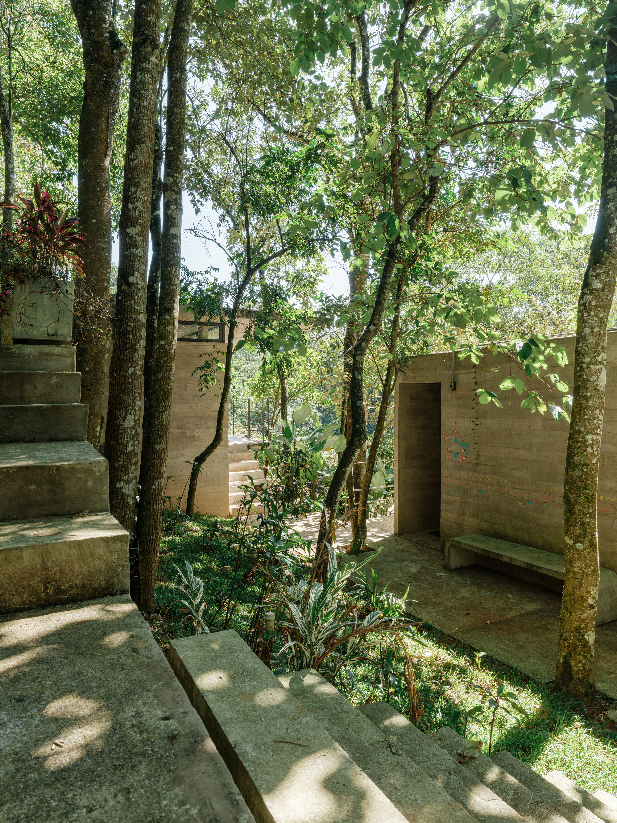 Exterior concrete stair ascending through mature trees with dappled sunlight filtering through the canopy