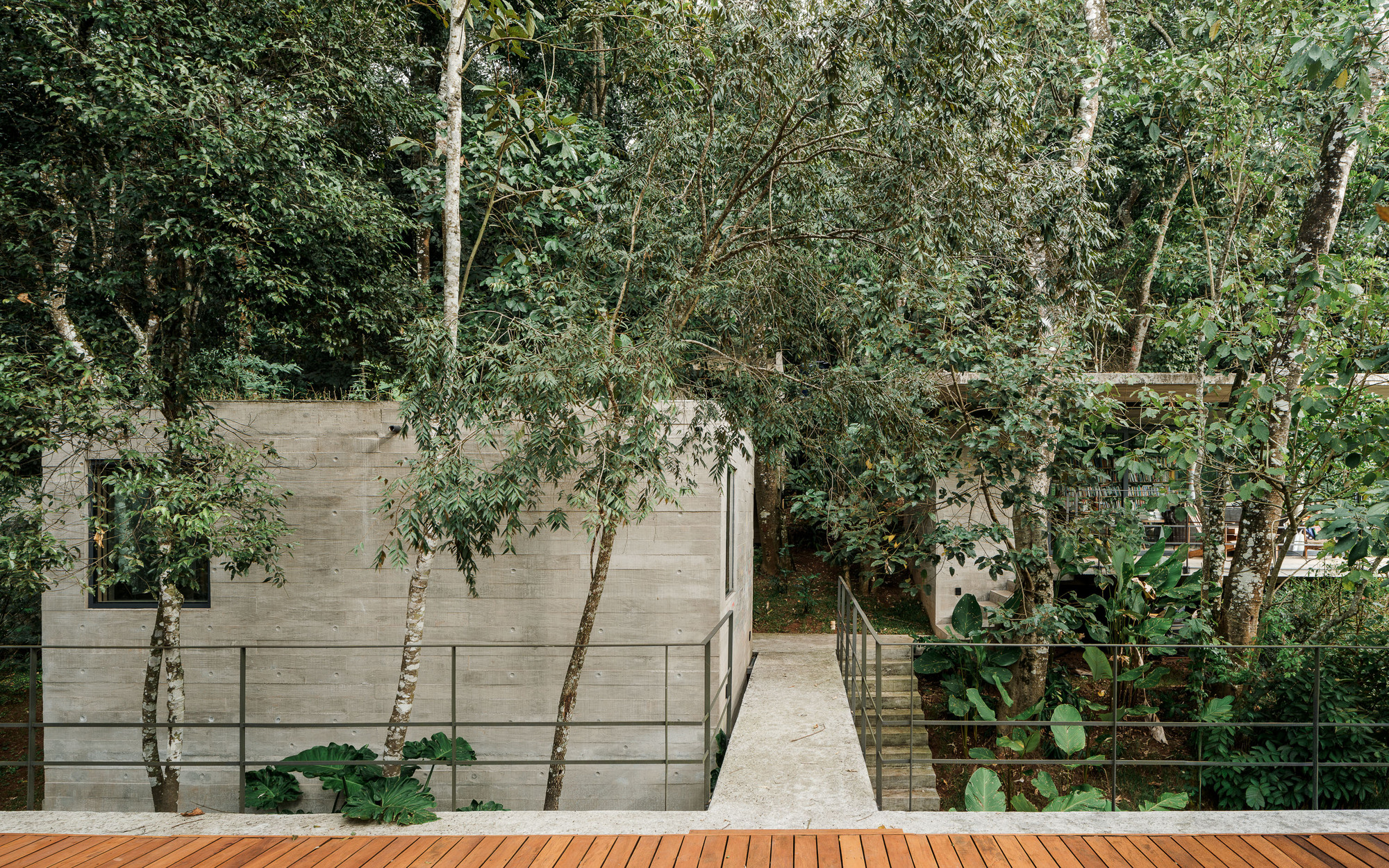Timber deck overlooking board-formed concrete volumes set within forest clearing