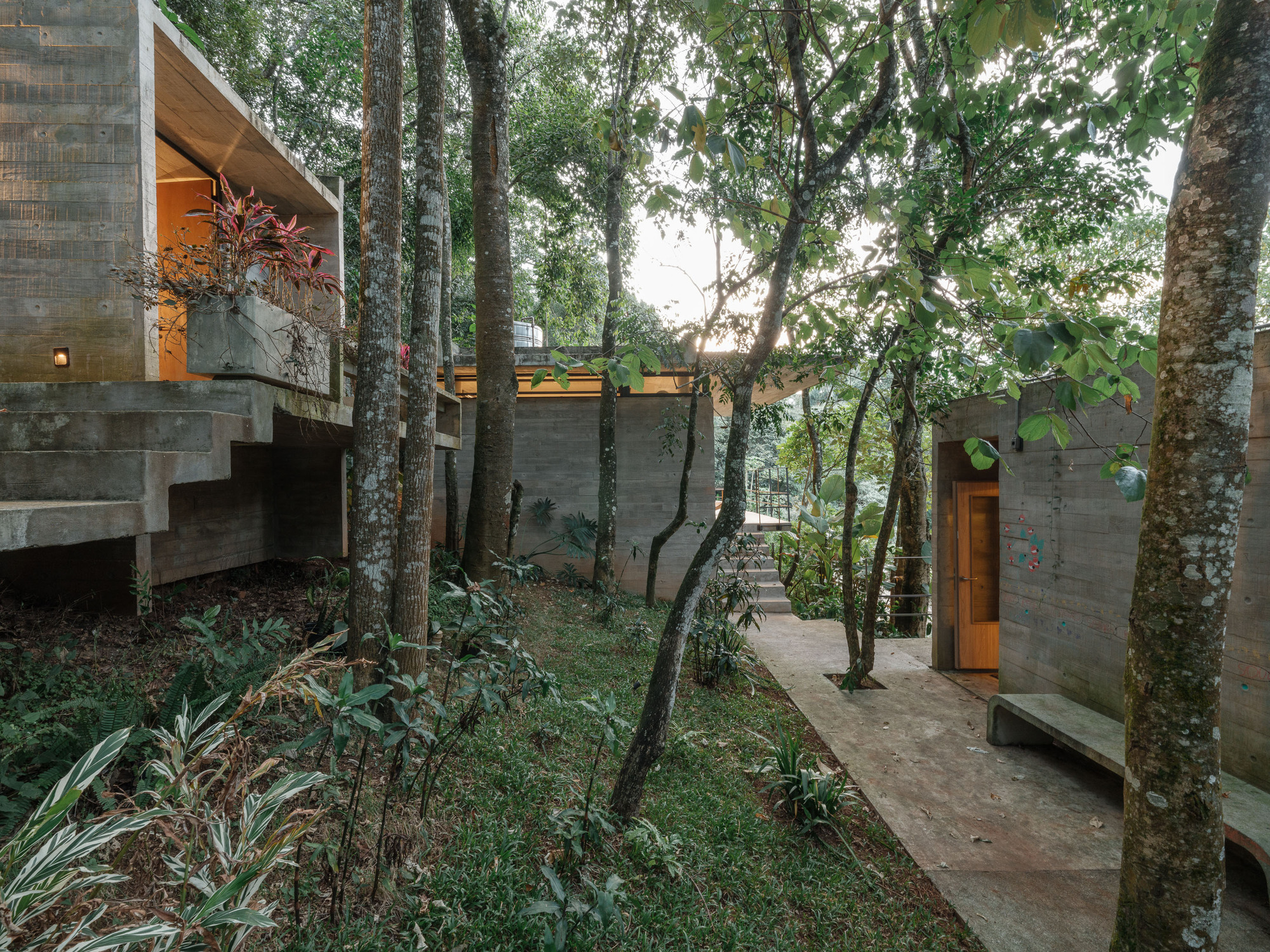Clustered concrete volumes connected by outdoor paths winding between preserved trees at dusk