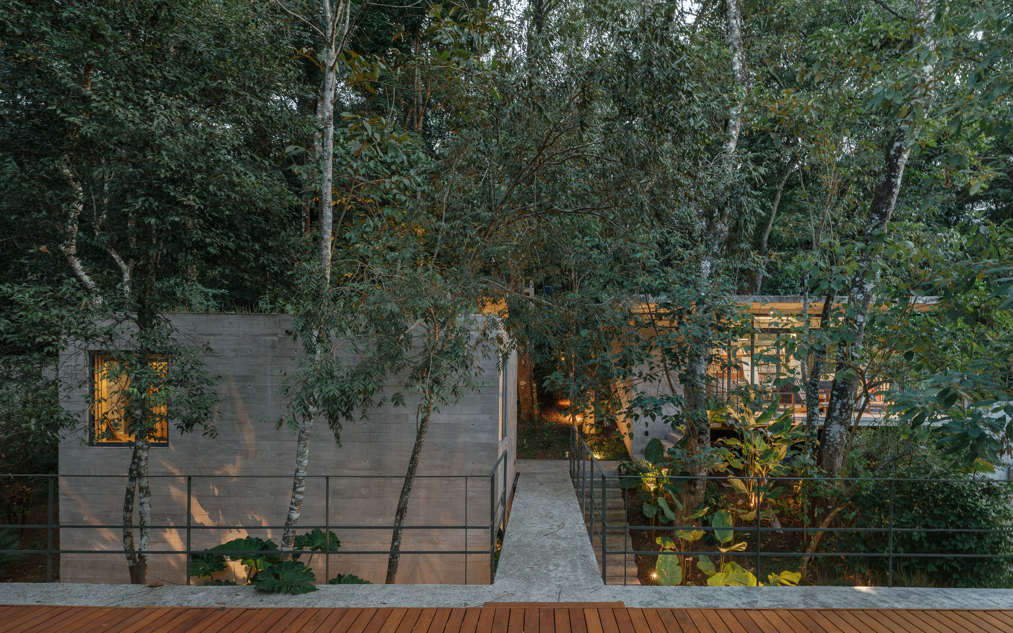 Street view of board-formed concrete facade nestled among trees with warm interior lighting at twilight