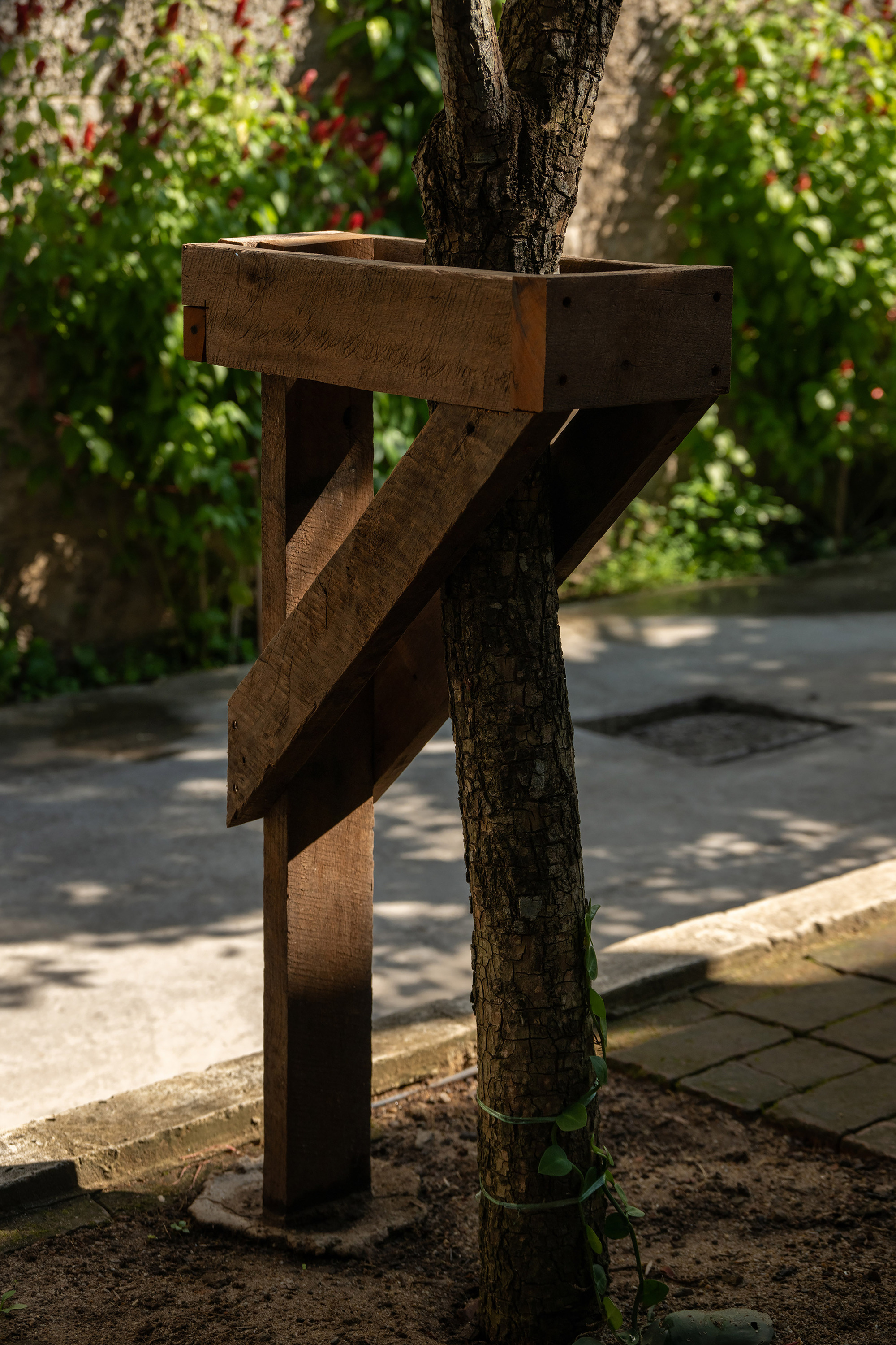 Weathered timber column support wrapped around a tree trunk in dappled sunlight