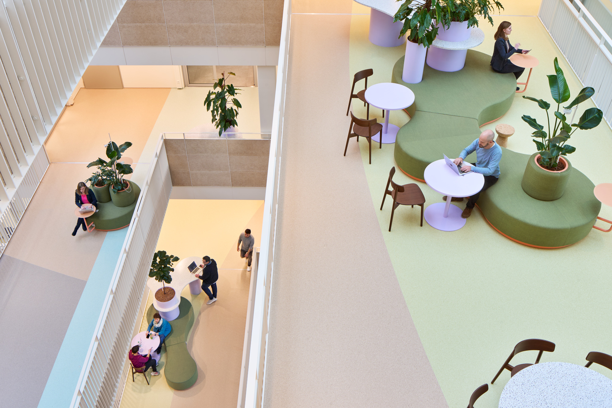 Top-down view of colorful floor zones with round green seating pods and scattered planters