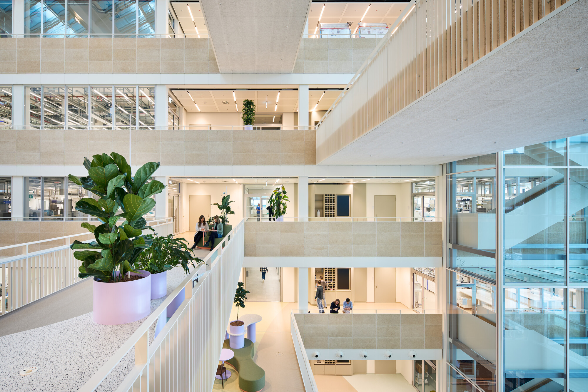 View across planted balcony with large potted fiddle-leaf fig overlooking four open office levels