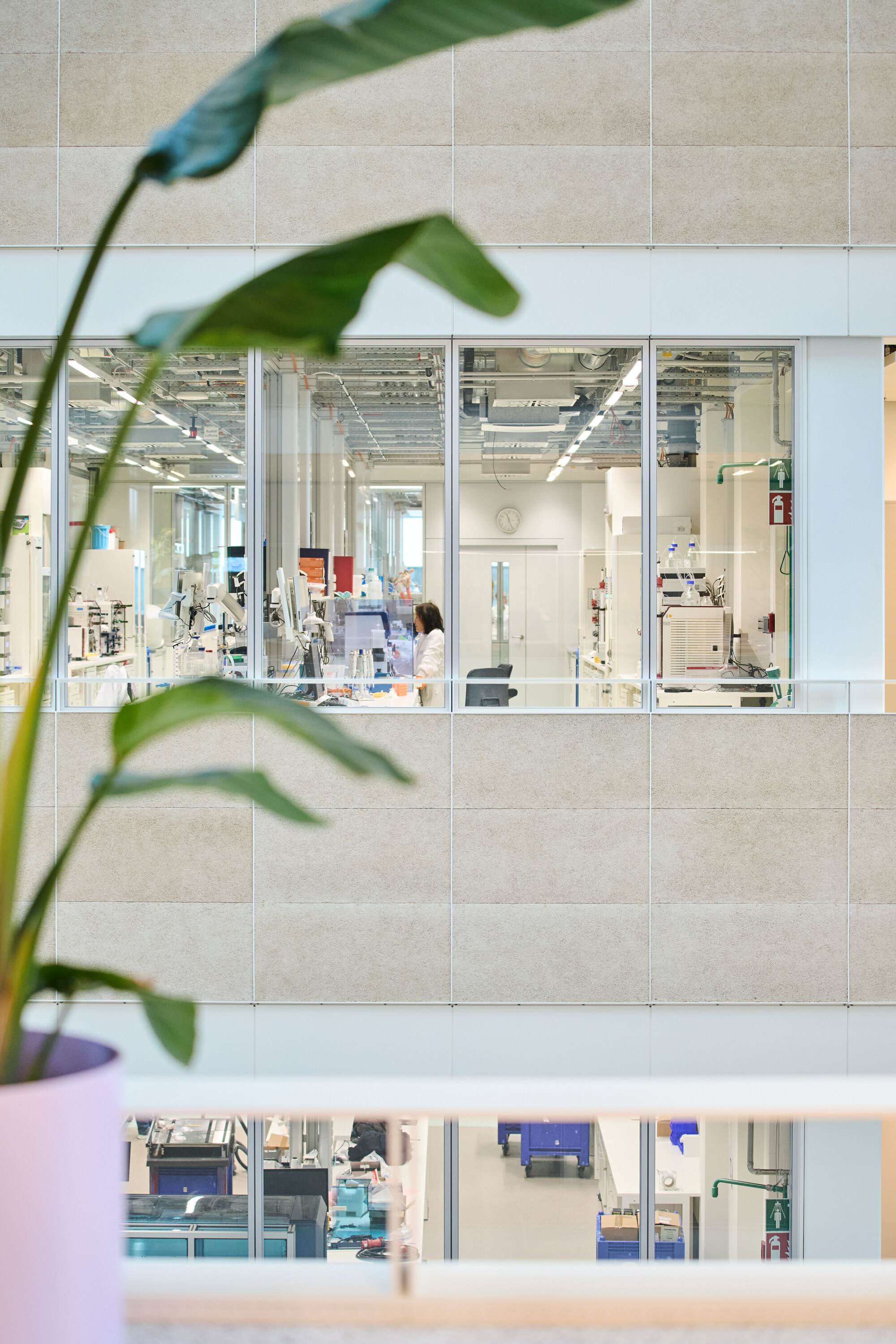Glass-walled laboratory seen through ceramic tile facade with potted plant in foreground