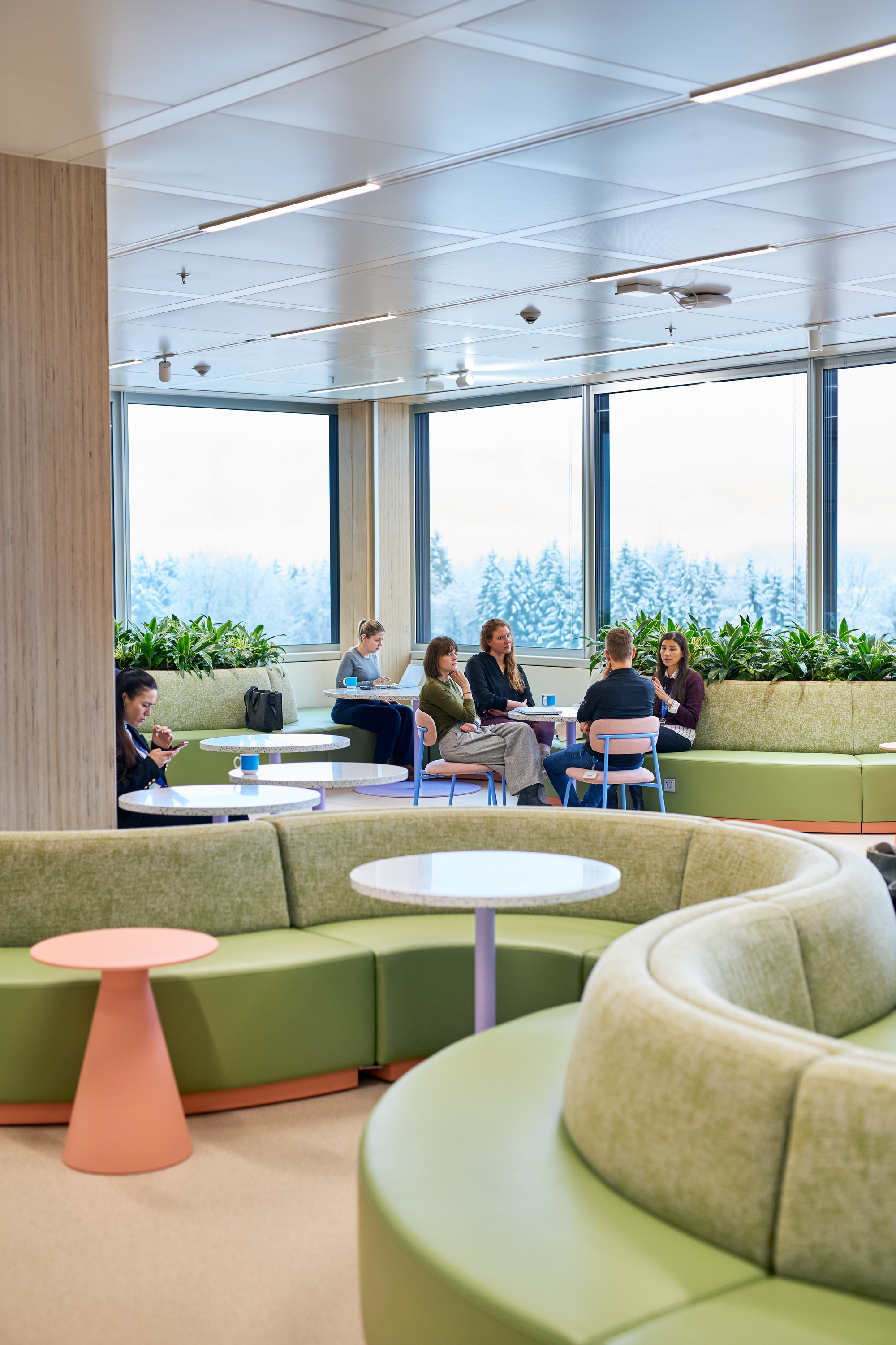 Corner window lounge with curved green seating overlooking snow-covered evergreens in winter fog