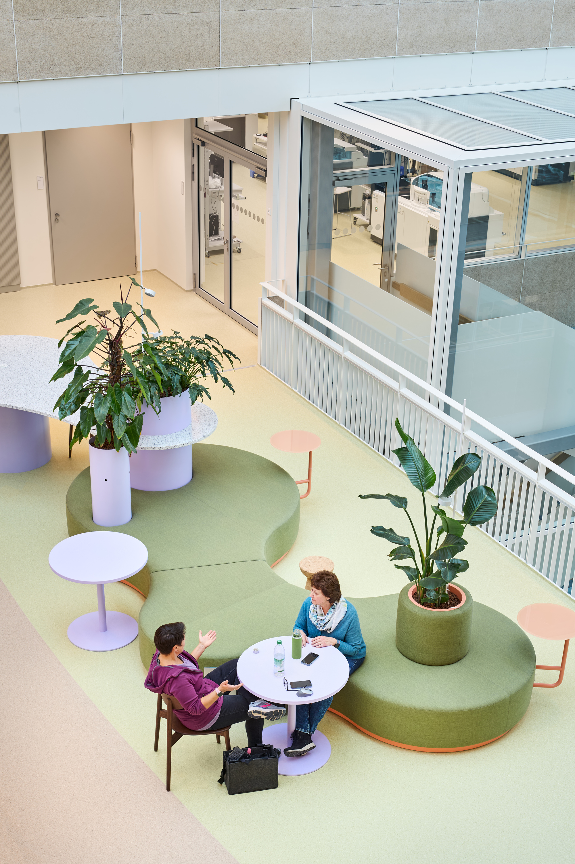 Top-down view of two people at white table on pastel circular floor pattern with potted plants