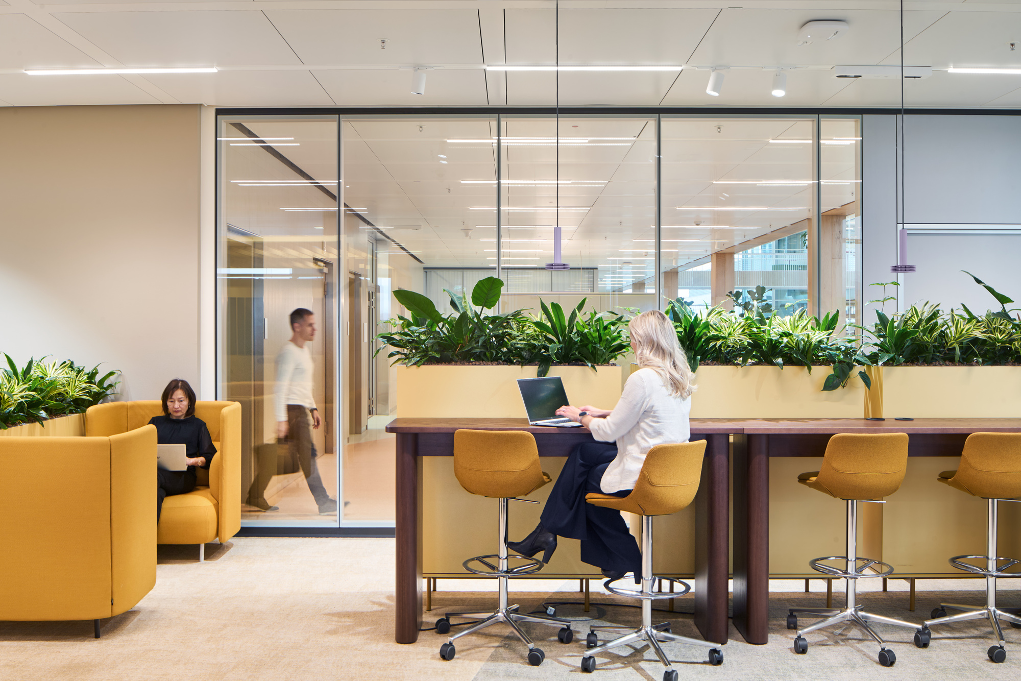 Shared workspace with yellow seating and planted dividers beside full-height glazed meeting rooms