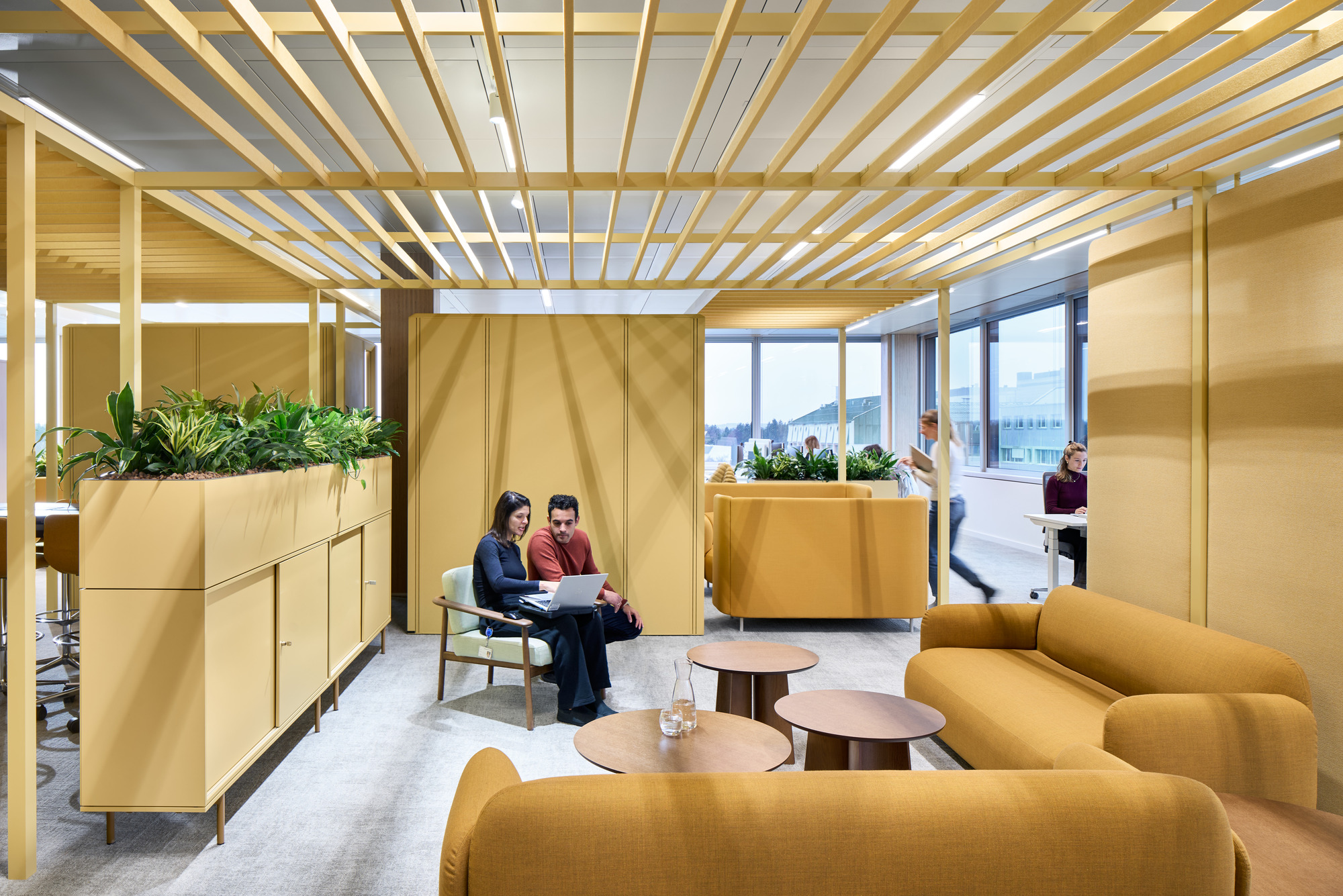 Interior lounge area with exposed timber ceiling slats and planted partition cabinets in daylight
