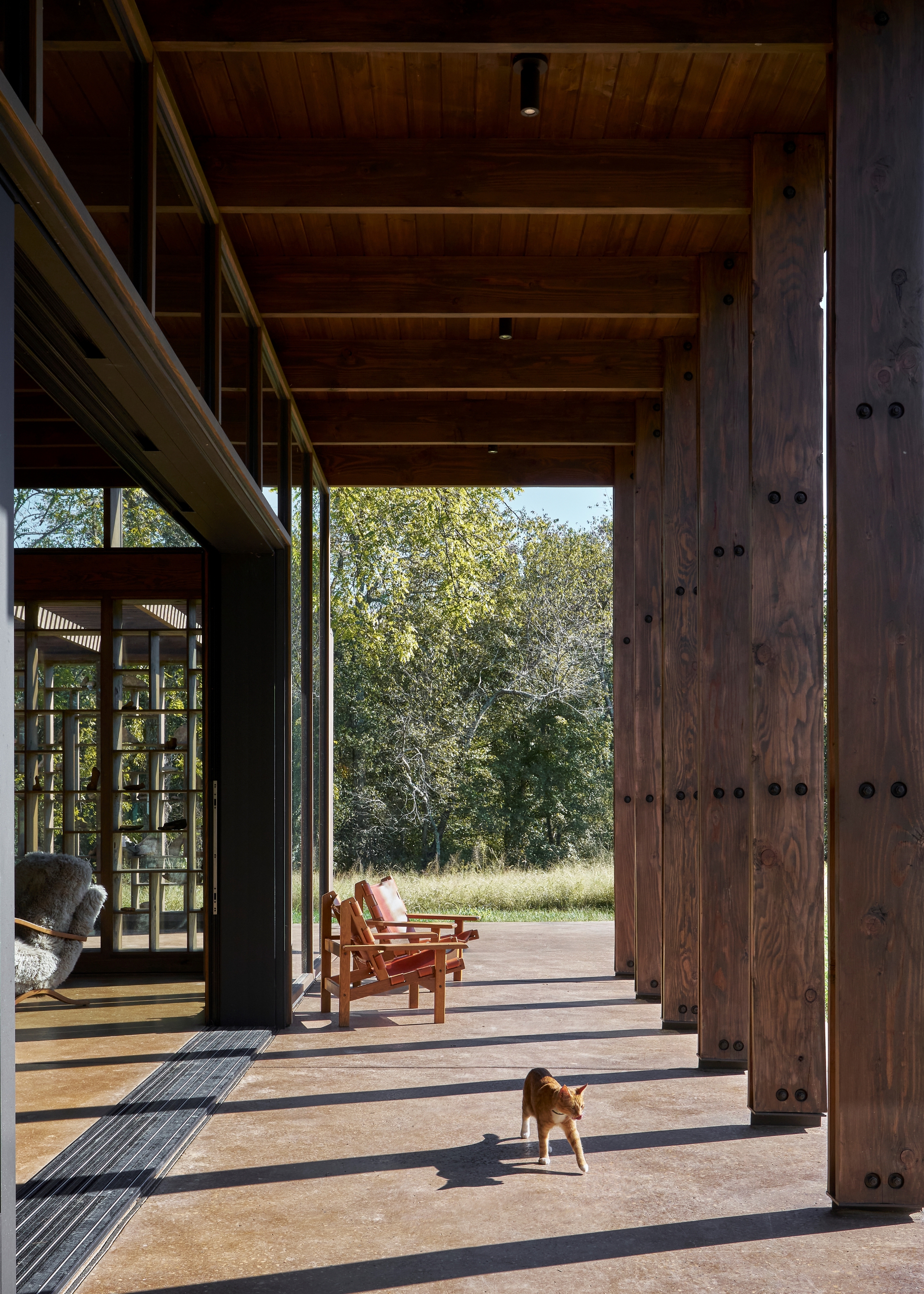 Covered porch with exposed timber beams and columns, a small dog crossing sunlit concrete flooring