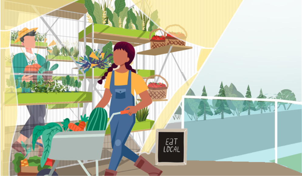 Productive balcony farming turns compact residential space into a source of fresh local food