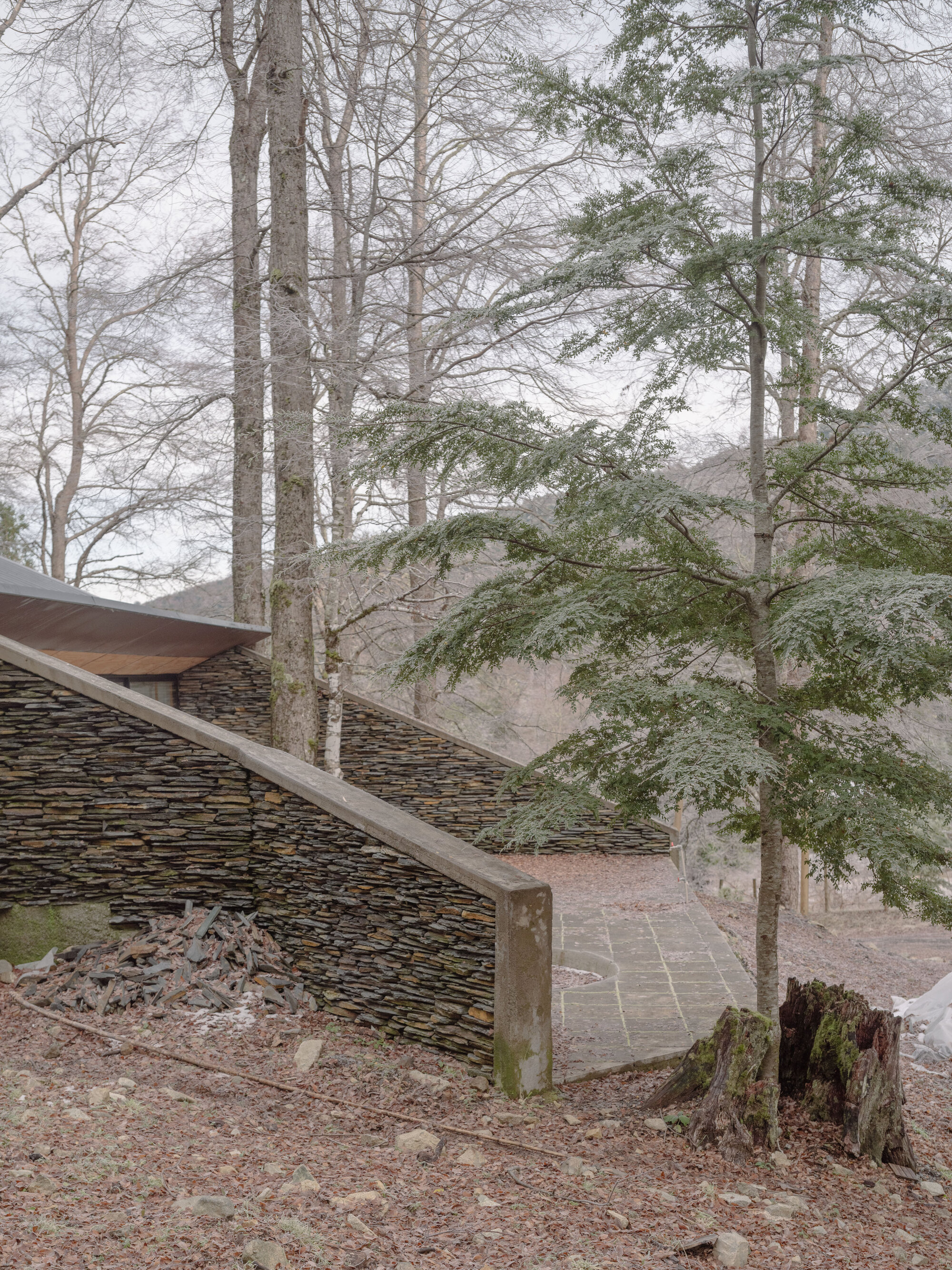 Detail of the layered stone wall corner with timber edge beam and pine needles on the ground