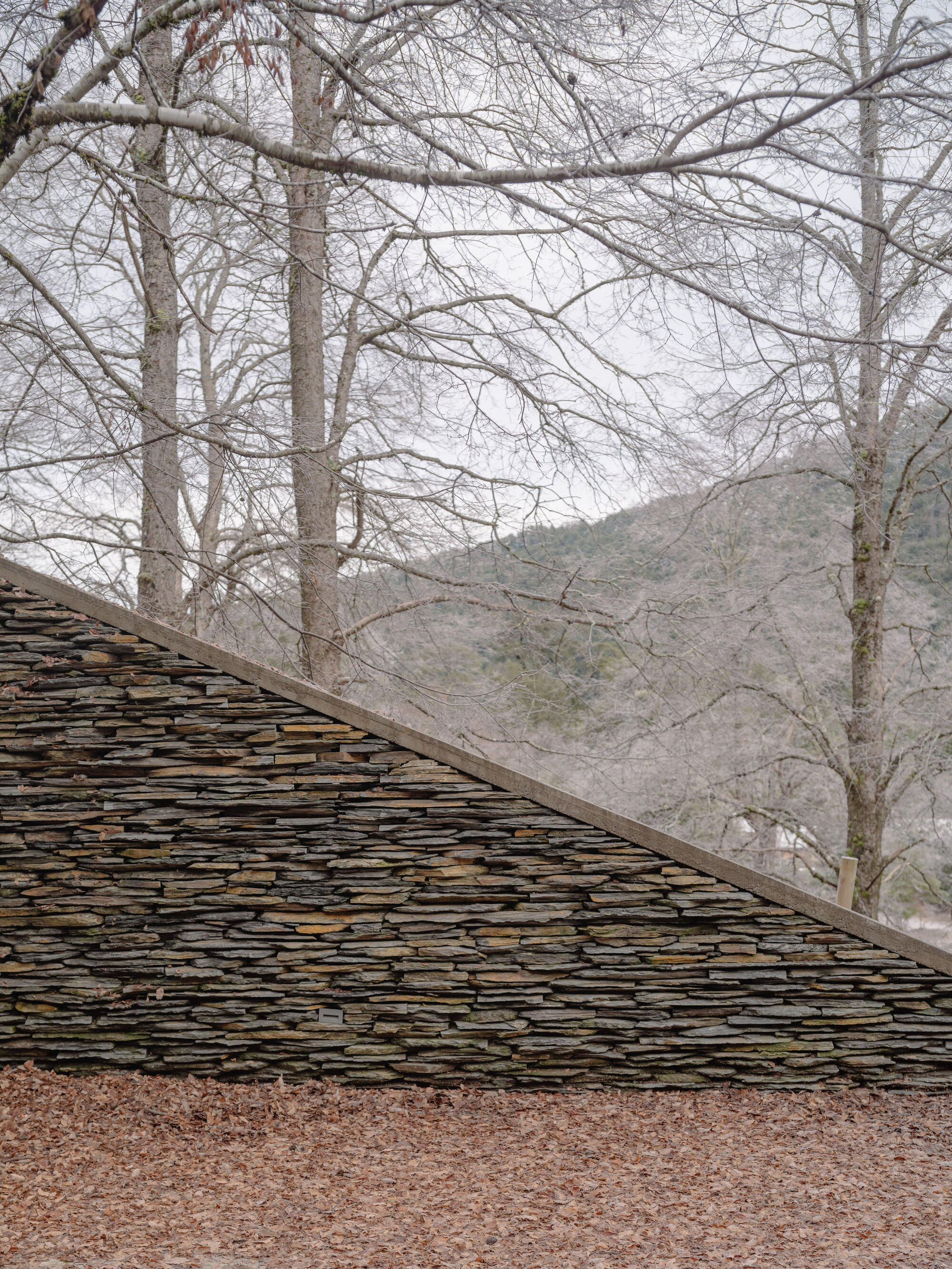 Sloping stacked slate roof plane against bare hillside trees in winter light