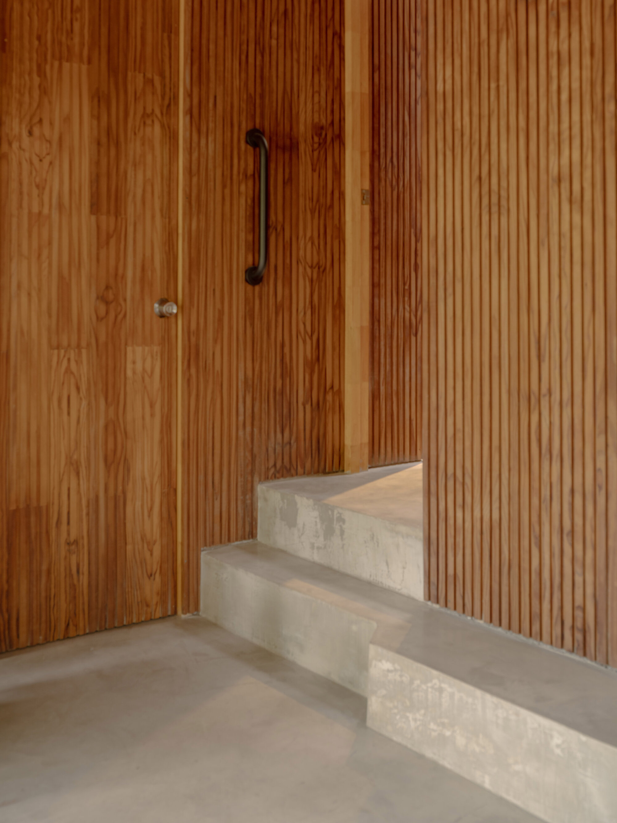 Concrete staircase with three treads against a vertical timber slat wall with a dark door pull