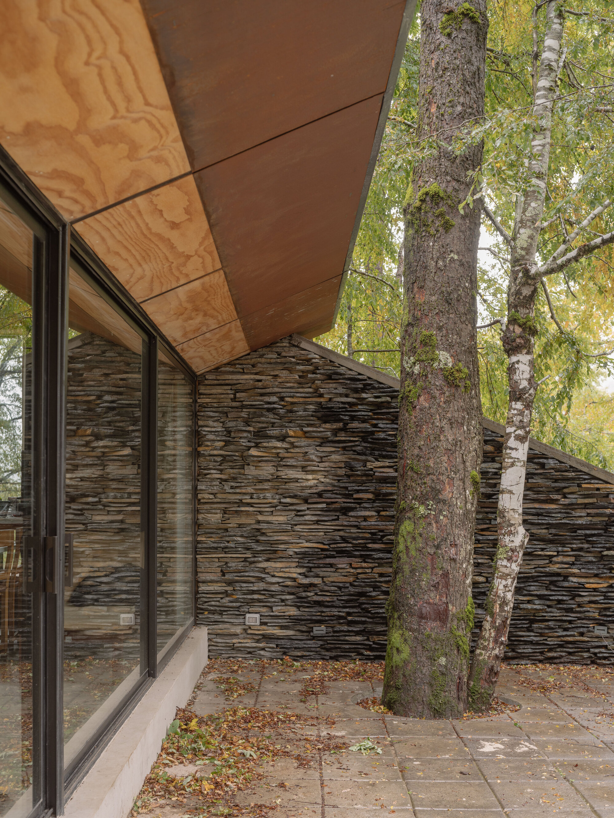 Covered terrace with plywood soffit panels and full-height glazing beside a layered stone wall and birch trees