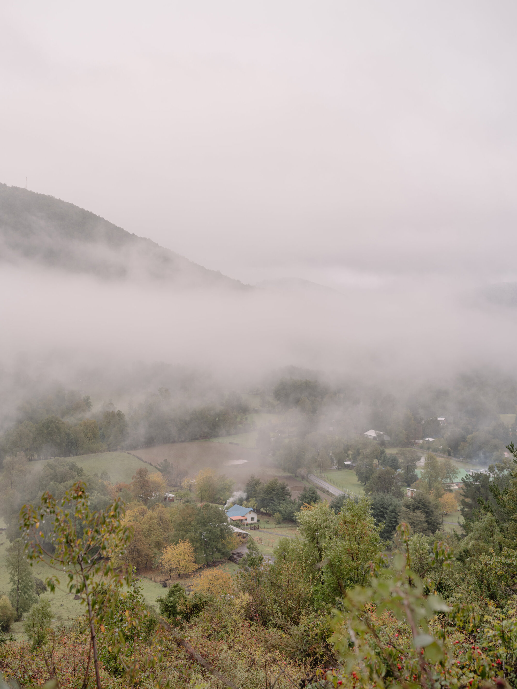 Valley landscape with scattered dwellings and winding roads enveloped in low autumn mist