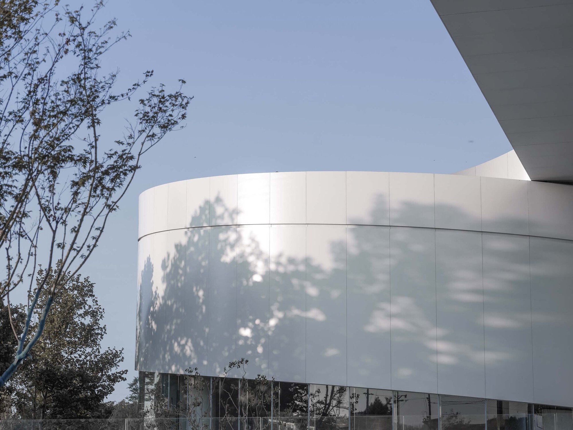 Curved white facade with tree shadows cast across paneled surface beside glazed openings