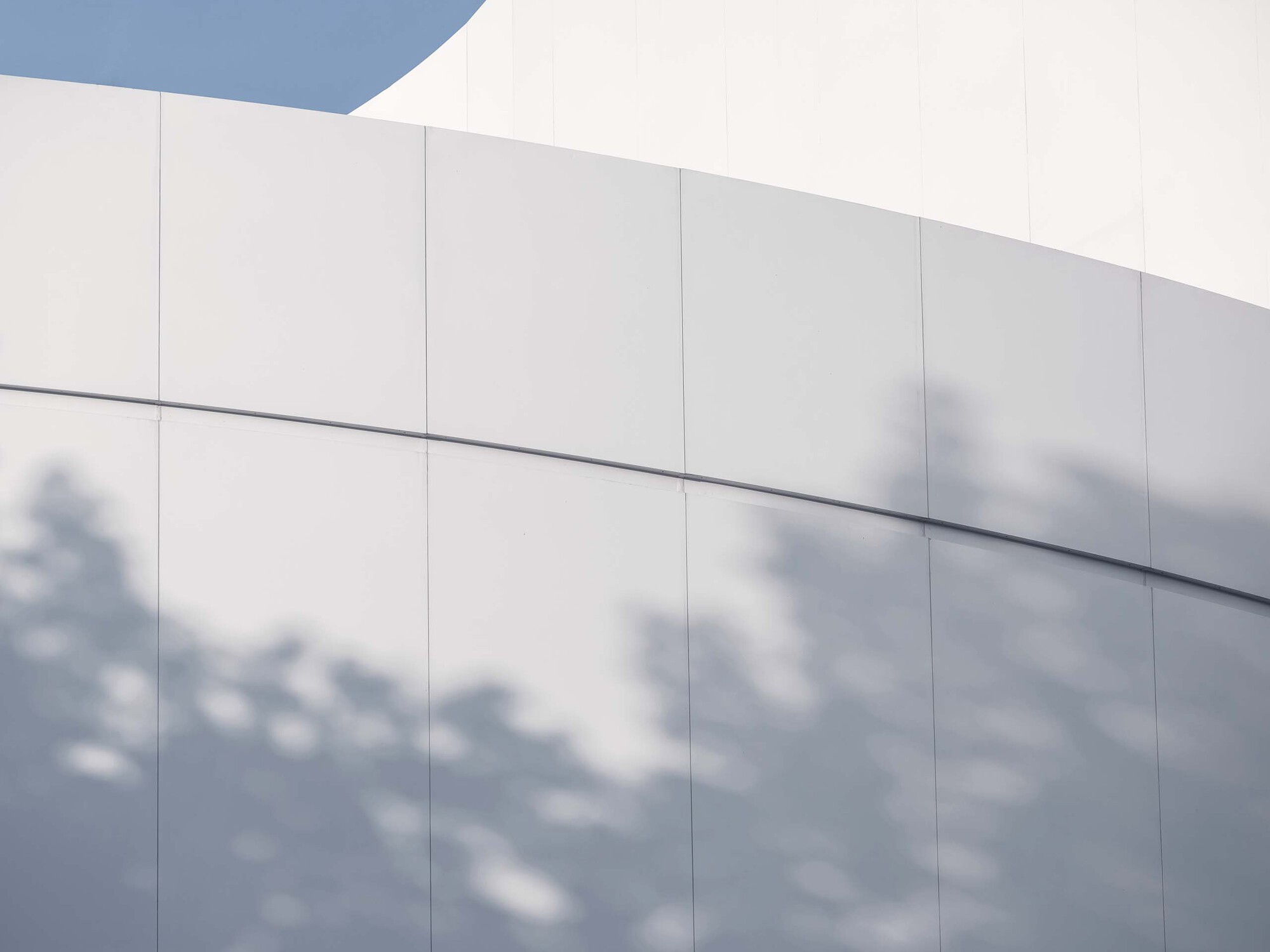White panel facade with horizontal reveals casting blurred tree shadows across the surface