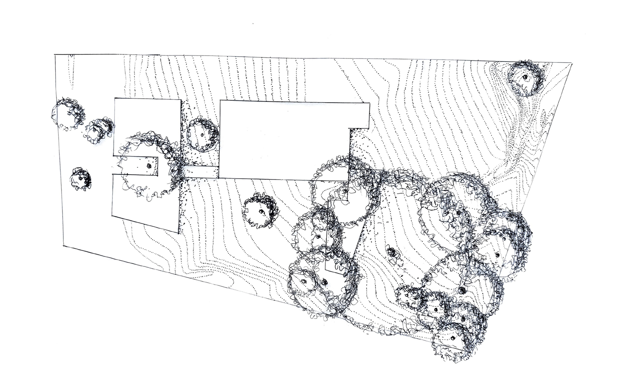 Site plan drawing showing building footprint with contour lines and scattered tree canopies