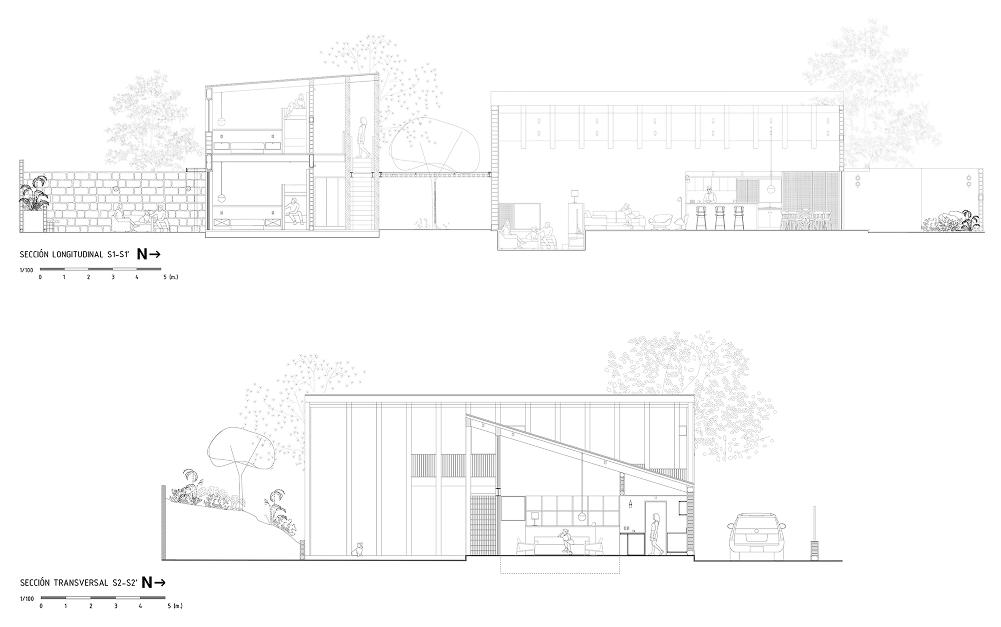 Longitudinal and transverse section drawings revealing the sloped roof and internal spatial relationships with surrounding vegetation